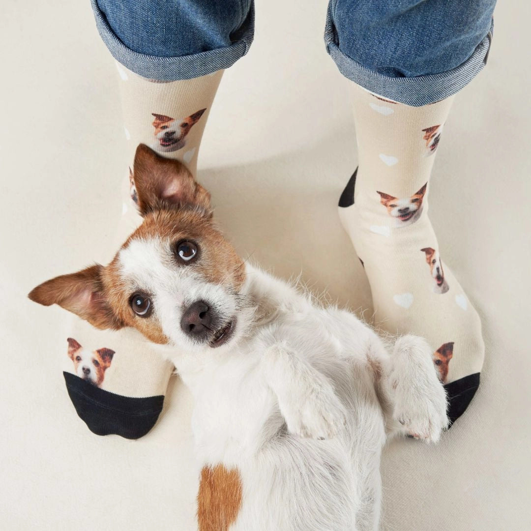 Personalisierte Socken mit deinem Haustier Hey Balu