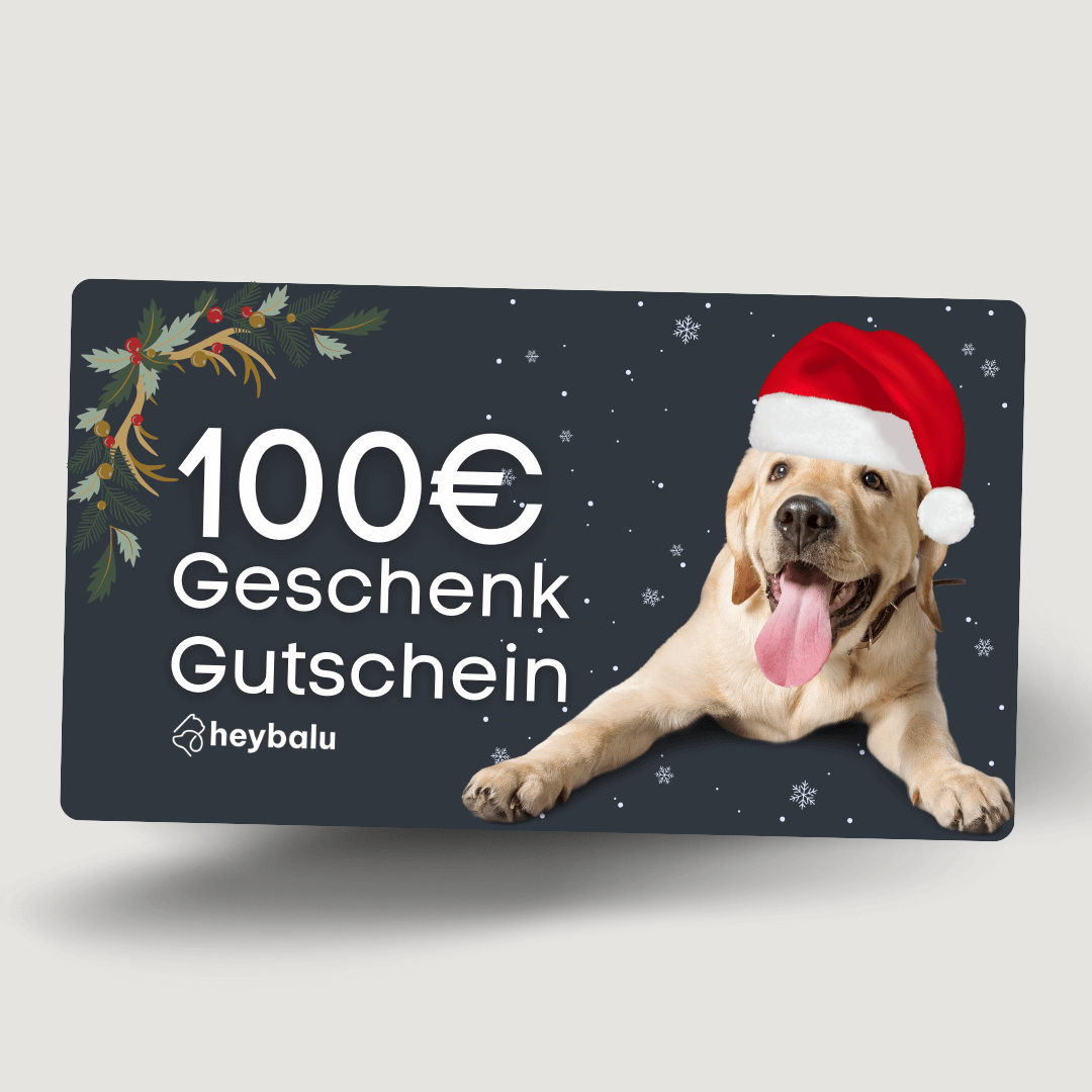 Geschenkgutschein Hey Balu