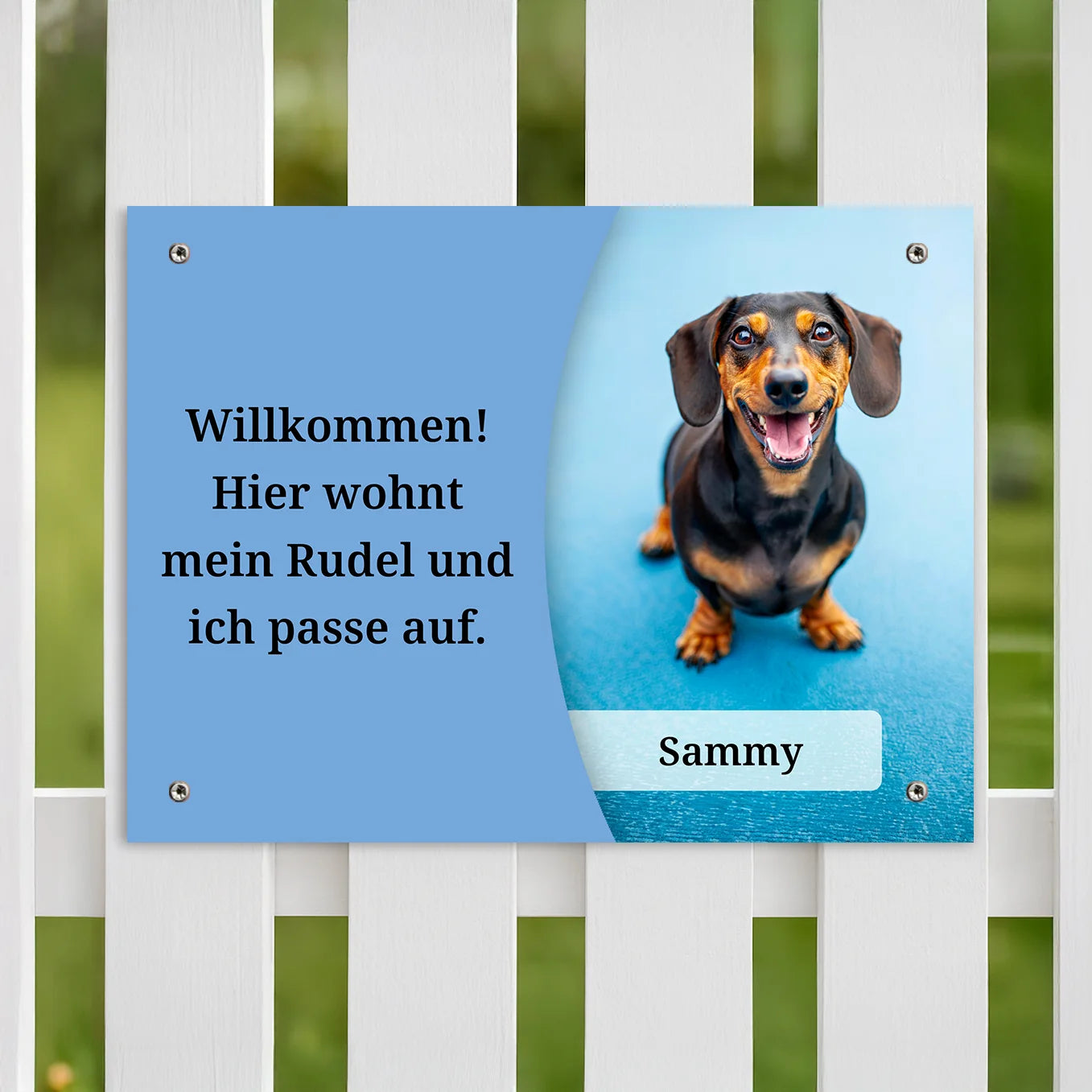 Personalisiertes Türschild "Haustier Foto" Hey Balu