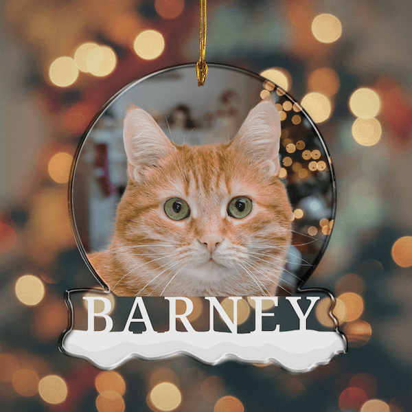 Weihnachtsbaumschmuck ''Dein Haustier'' Hey Balu