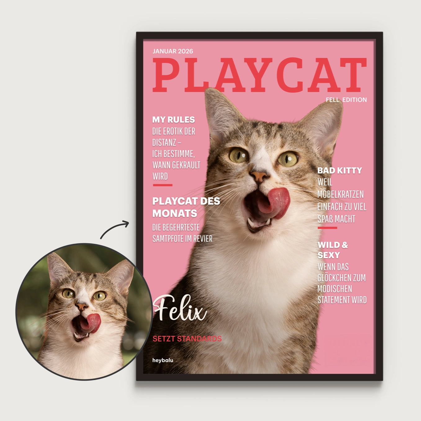 Personalisiertes Poster Katzenmagazin "Playcat"