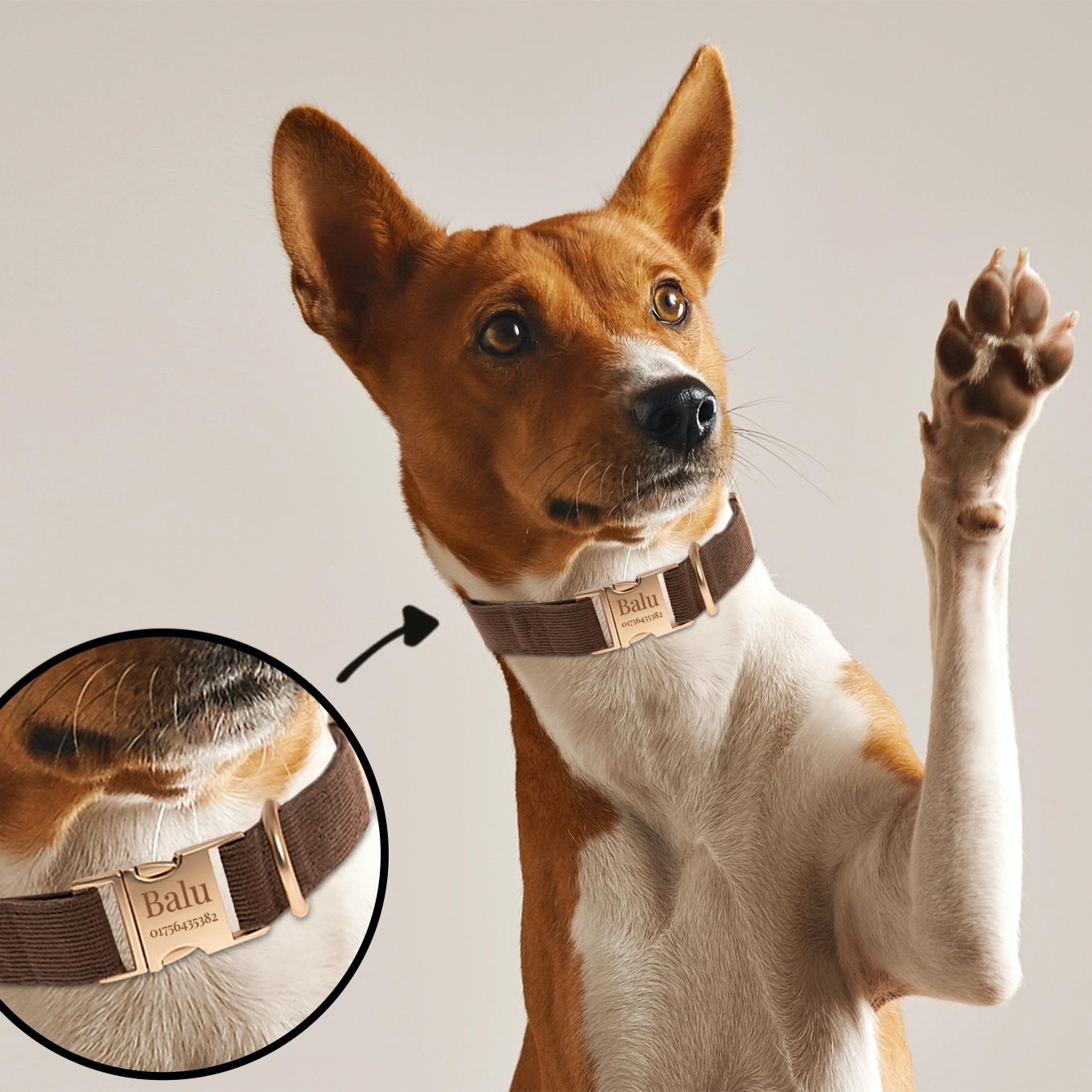 Personalisiertes Hundehalsband "Wunschmotiv"