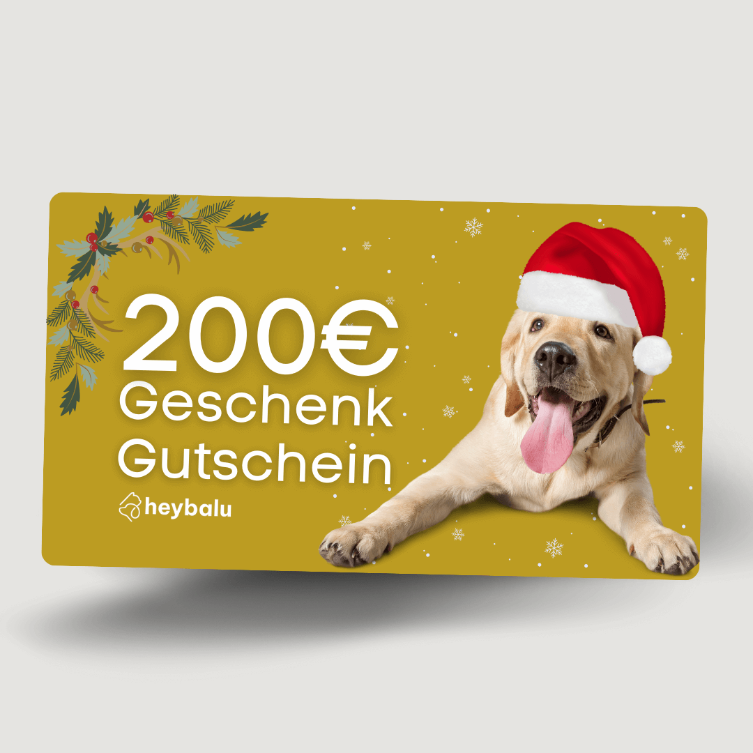 Geschenkgutschein Hey Balu