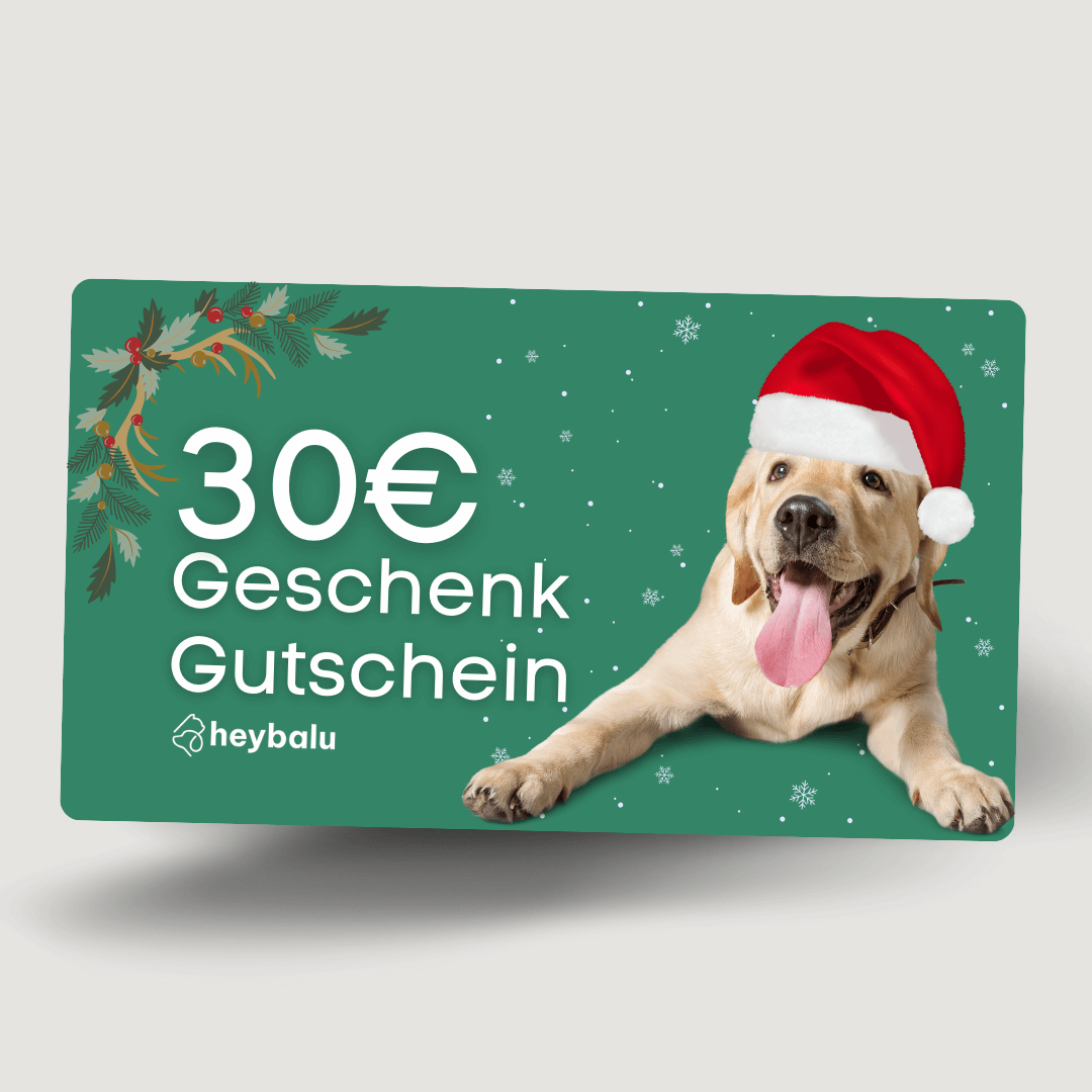 Geschenkgutschein Hey Balu