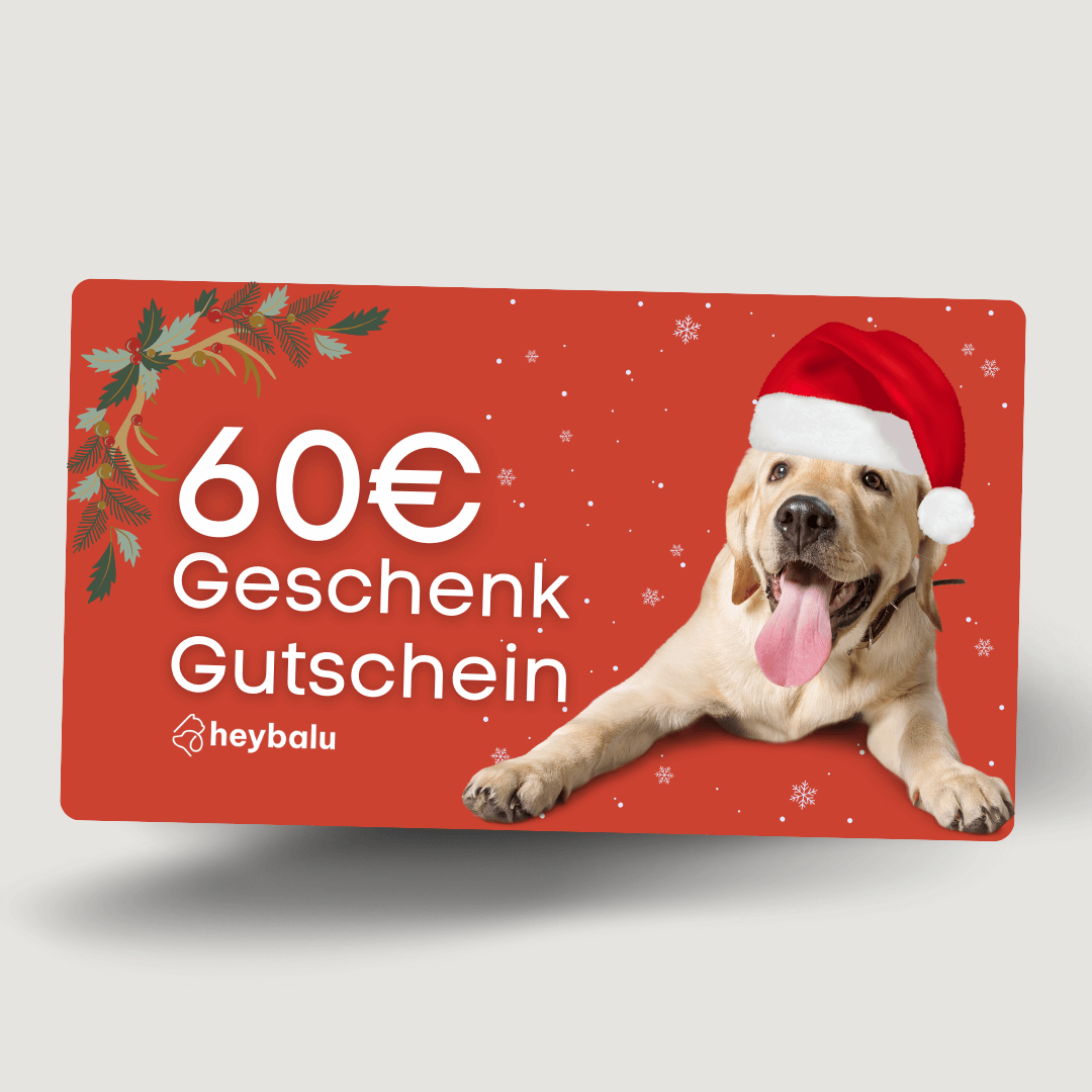 Geschenkgutschein Hey Balu