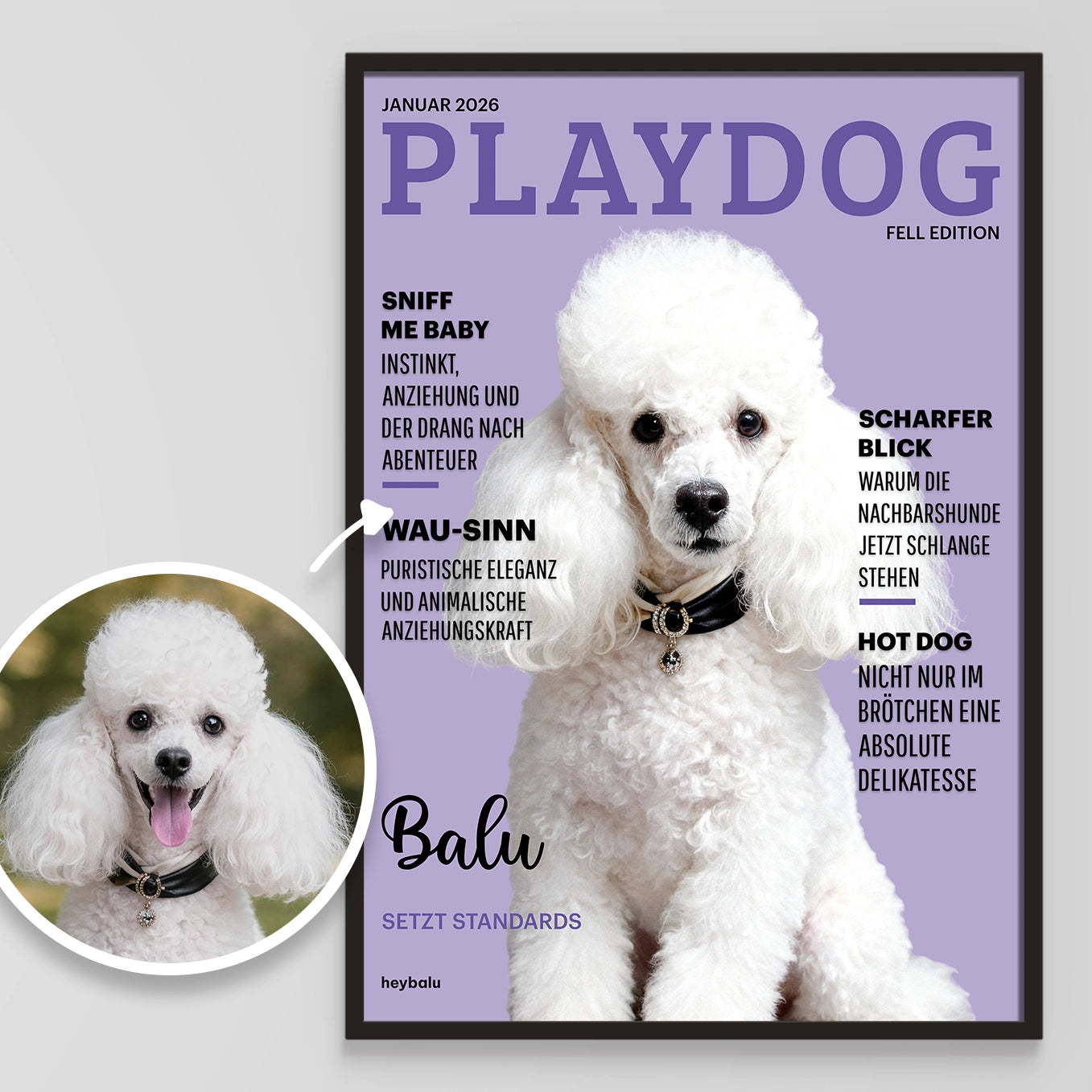 Personalisiertes Poster Hundemagazin "Playdog"