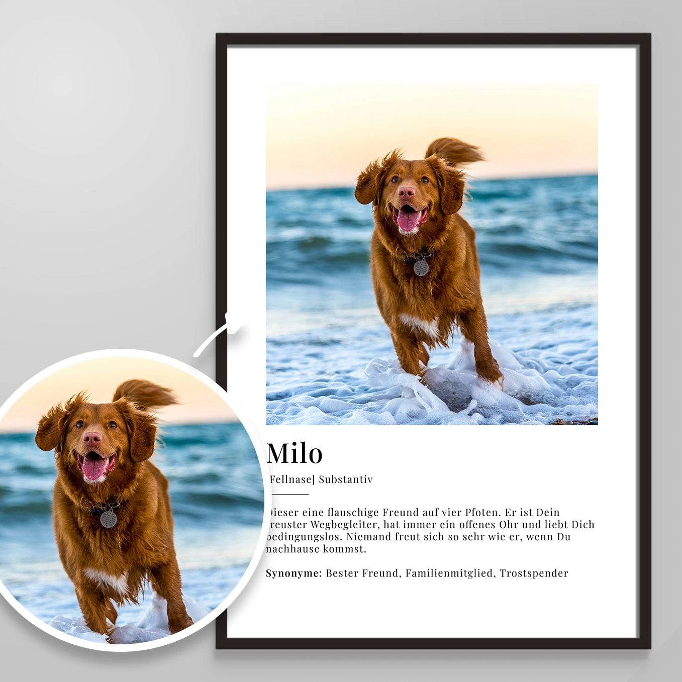 Personalisiertes Fotoposter "Haustier Definition"