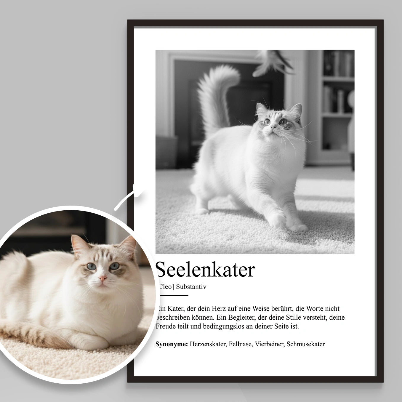Personalisiertes Poster Definition "Seelenkater"