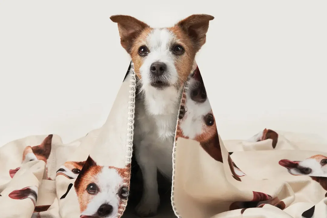 Personalisierte Geschenke für Haustierliebhaber - hey balu