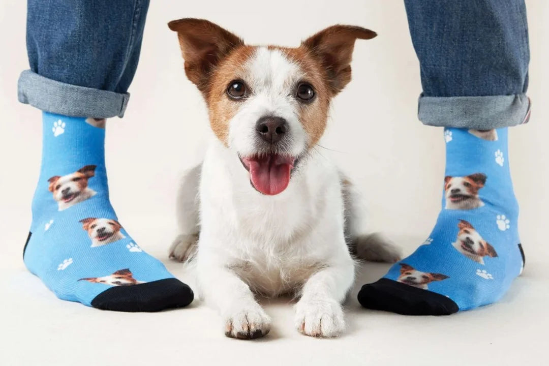 Personalisierte Geschenke fĂŒr Haustierliebhaber - hey balu