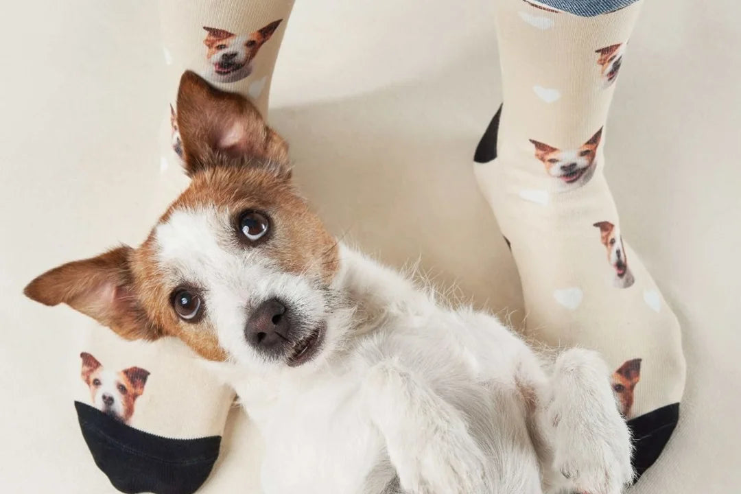 Personalisierte Geschenke fĂŒr Haustierliebhaber - hey balu