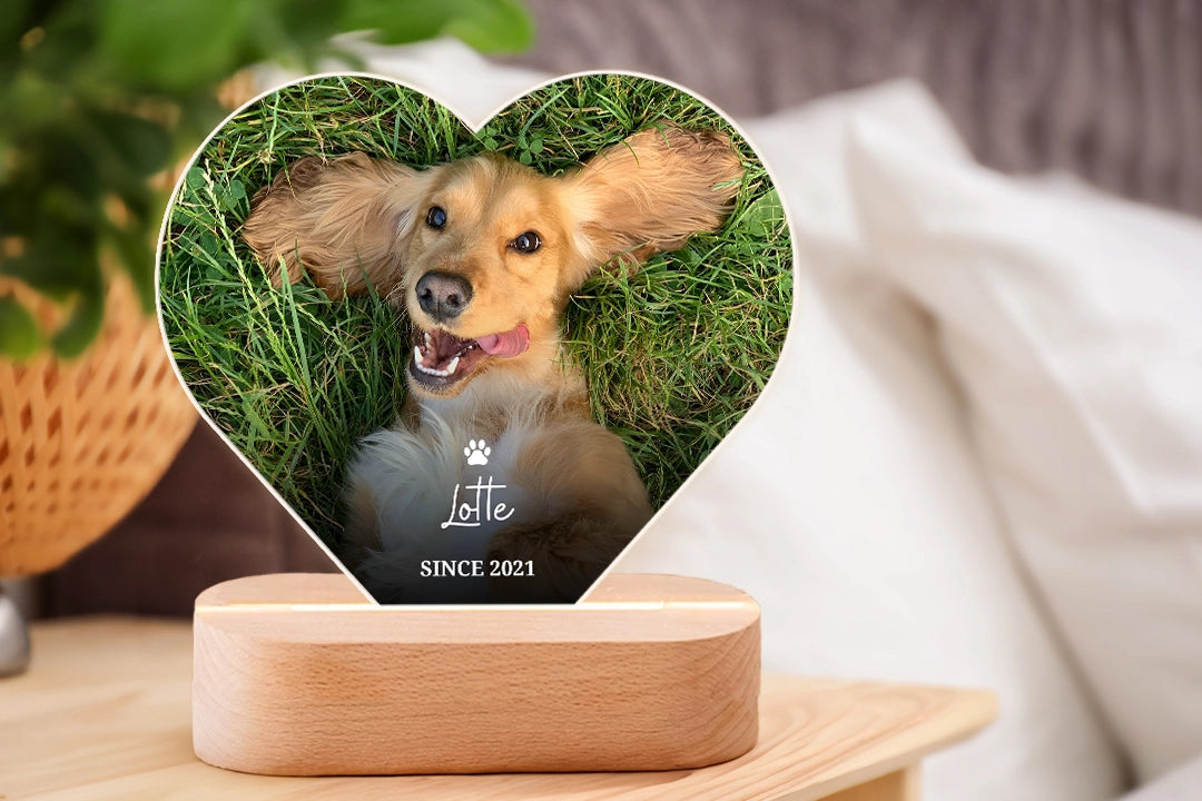 Personalisierte Geschenke für Haustierliebhaber - hey balu