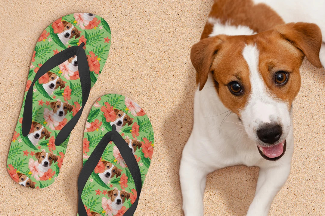 Personalisierte Geschenke für Haustierliebhaber - hey balu