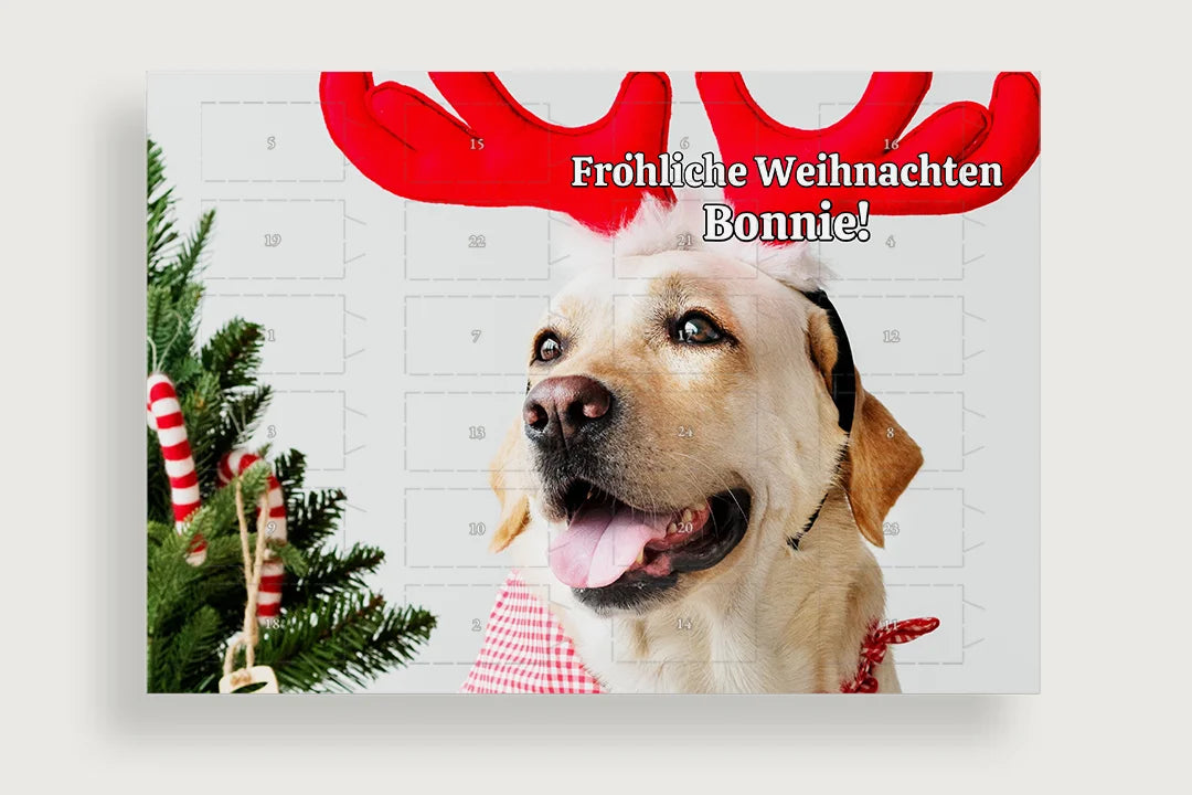 Personalisierte Geschenke für Haustierliebhaber - hey balu