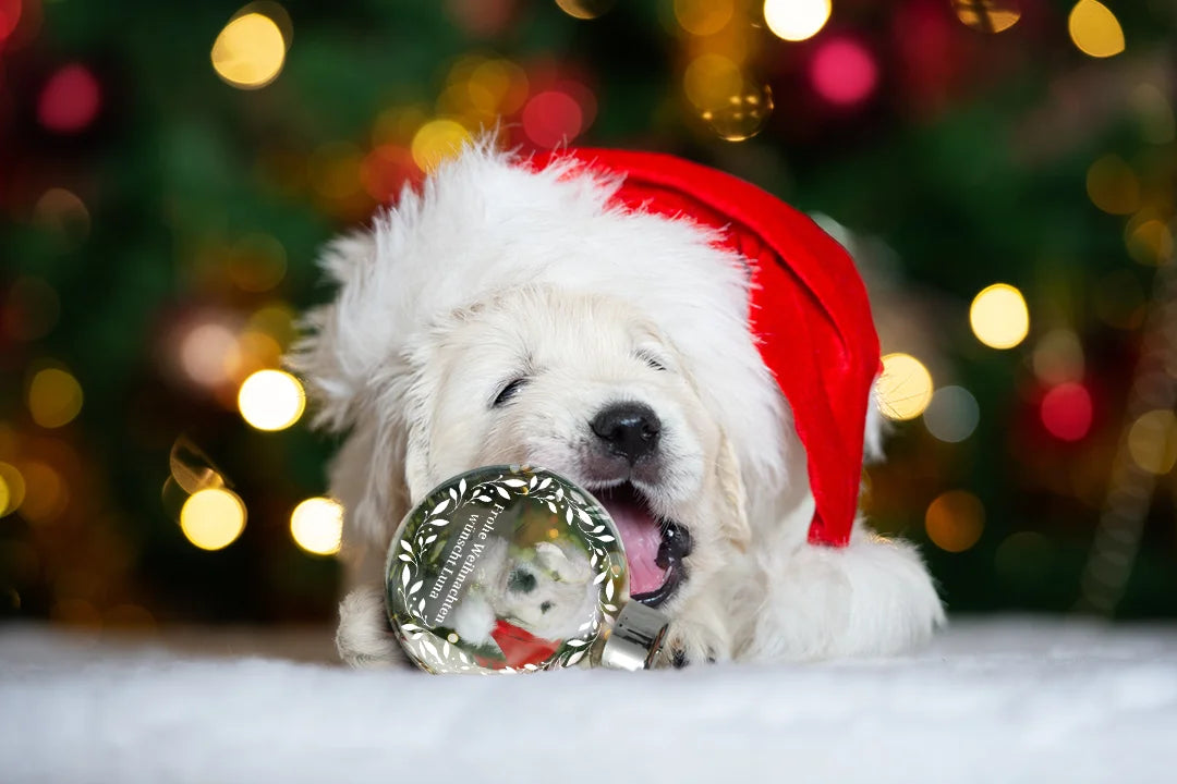 Personalisierte Geschenke für Haustierliebhaber - hey balu