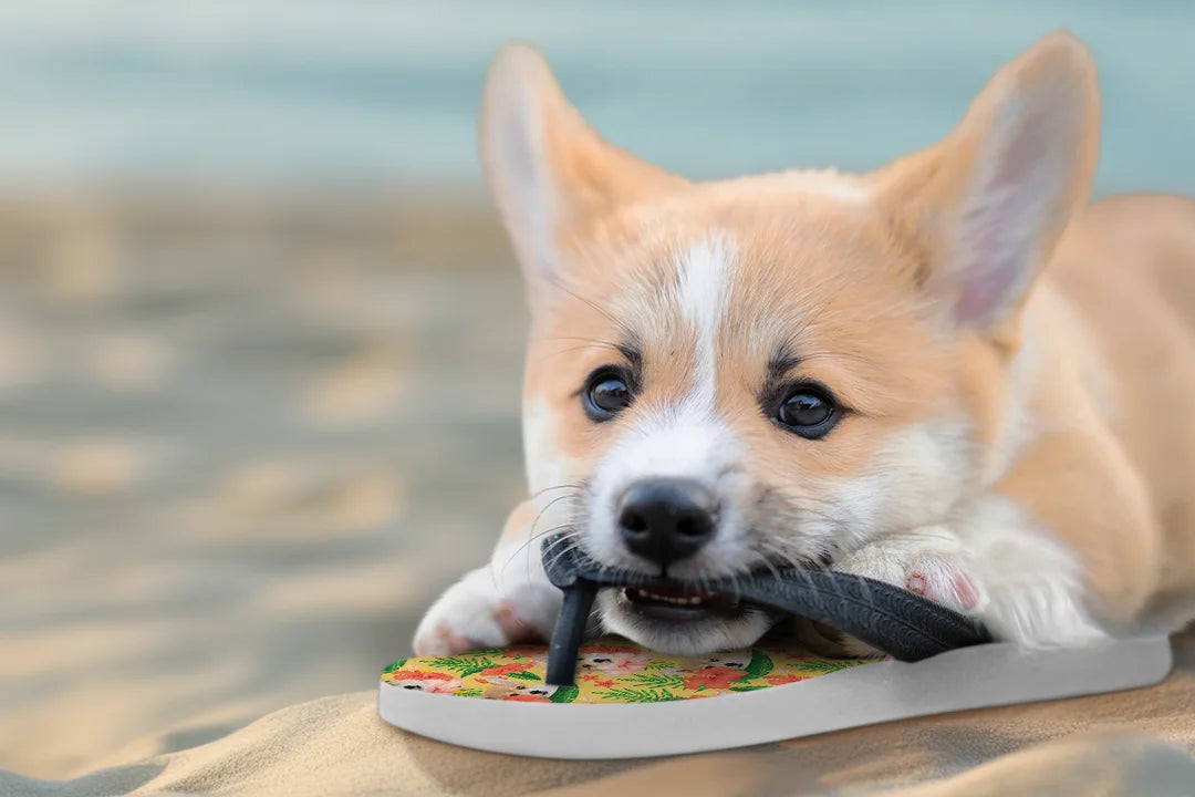 Personalisierte Geschenke für Haustierliebhaber - hey balu