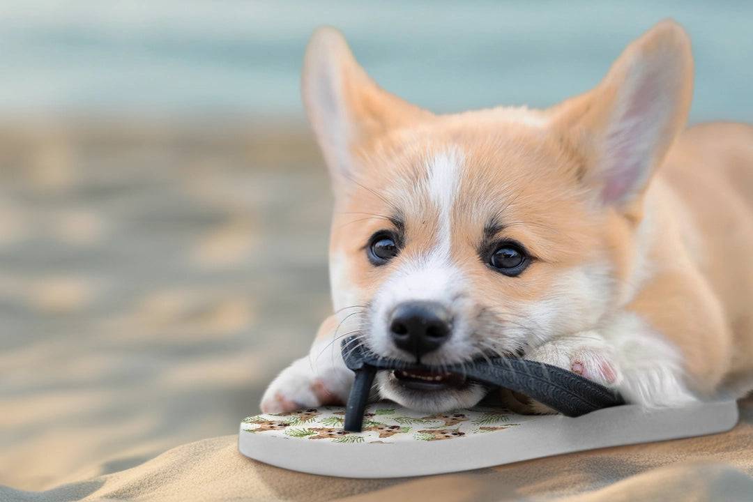 Personalisierte Geschenke für Haustierliebhaber - hey balu