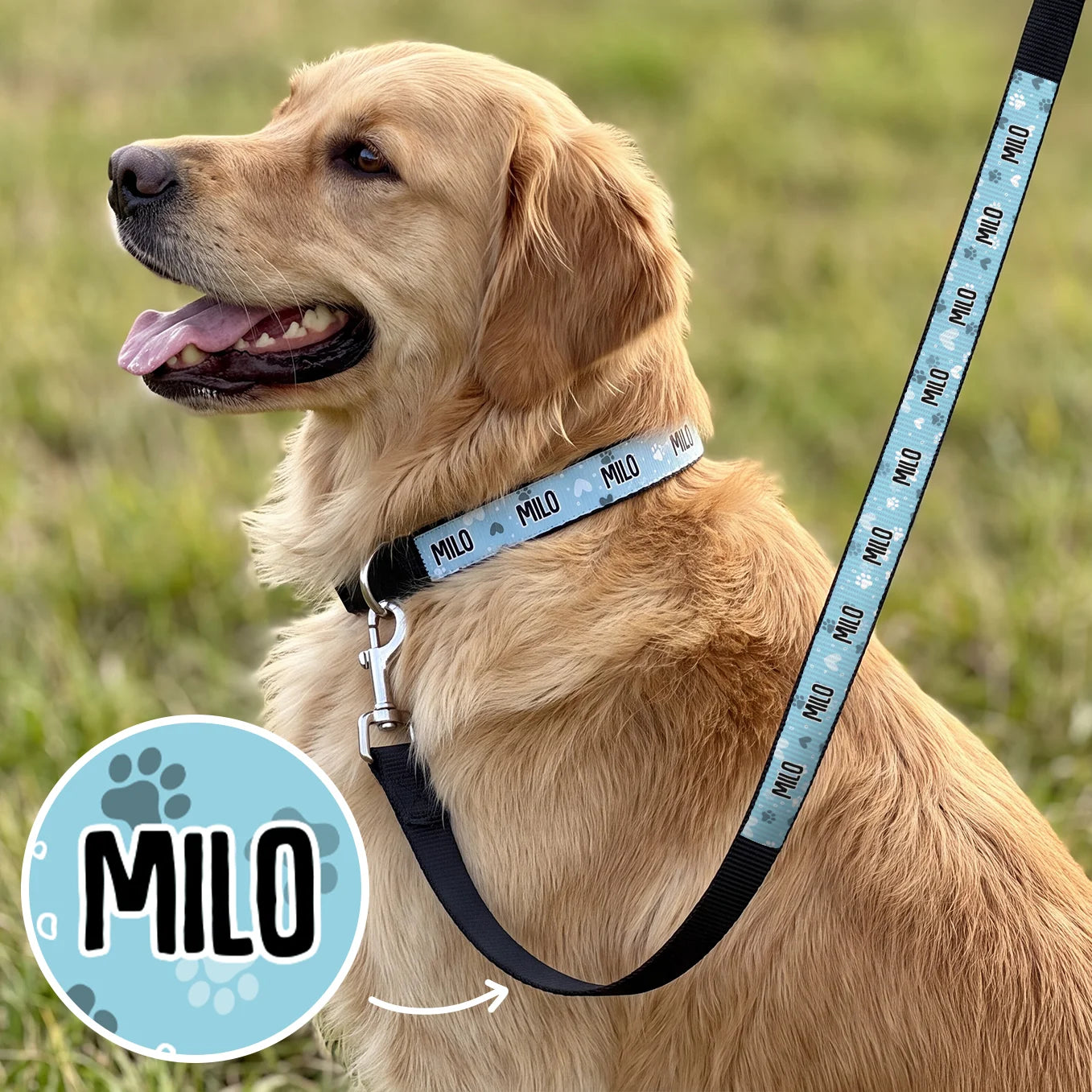 (US) Personalisiertes Hundehalsband und Leine "Herzen"