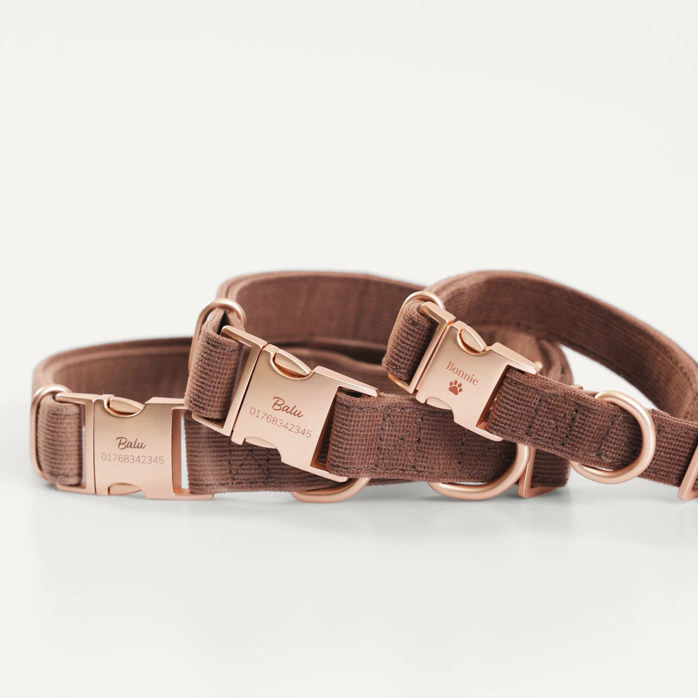 Personalisiertes Hundehalsband "Wunschmotiv"