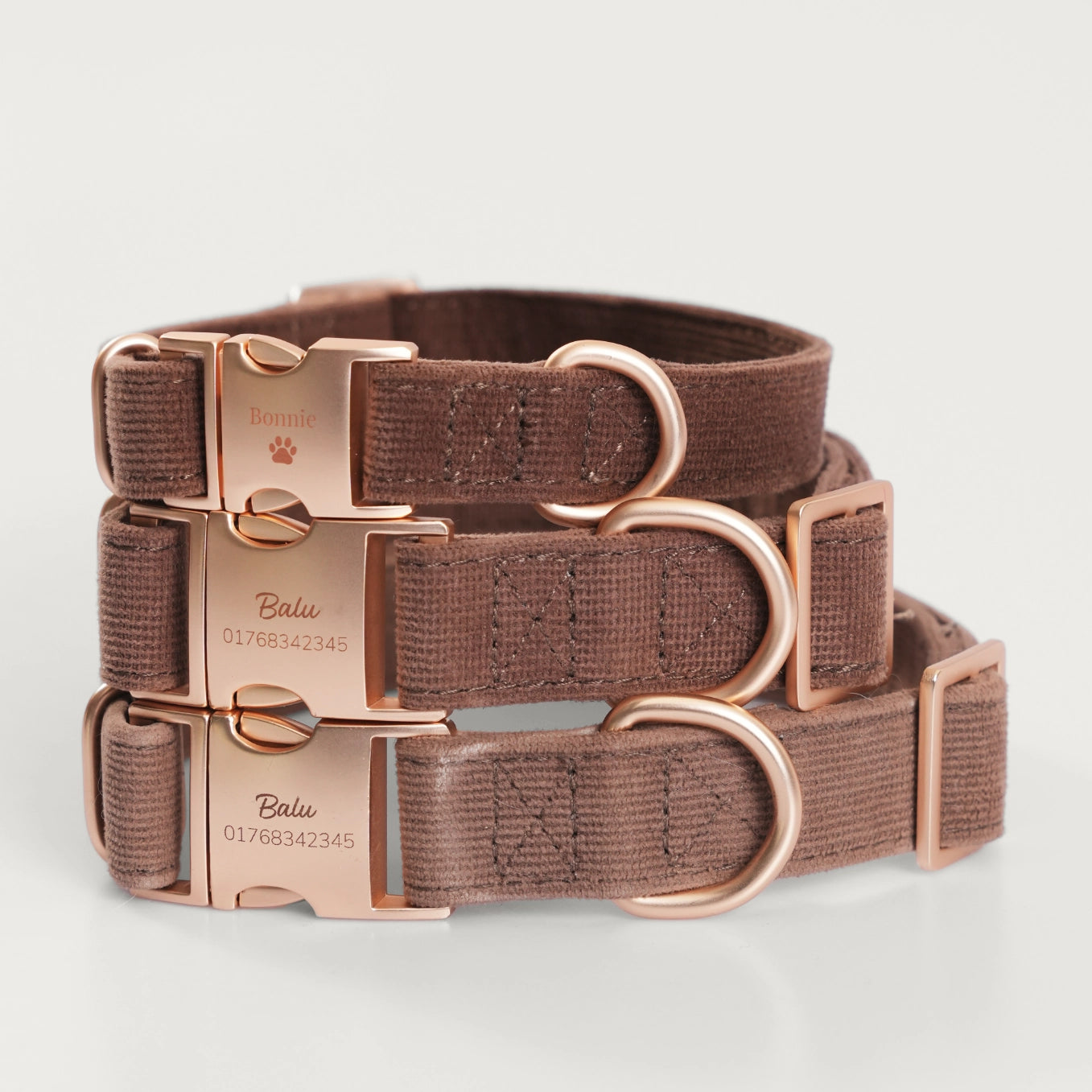 Personalisiertes Hundehalsband "Wunschmotiv"
