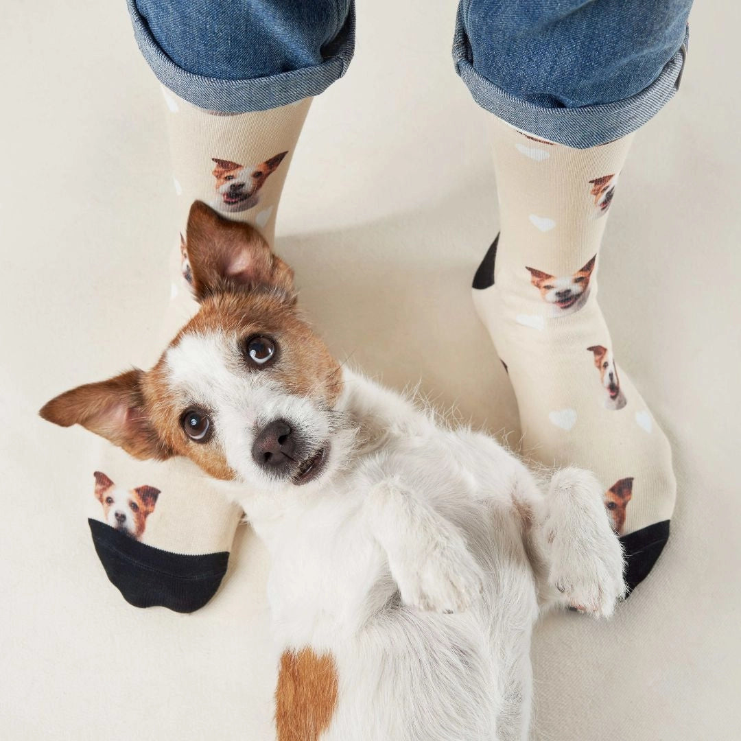Personalisierte Socken mit deinem Haustier