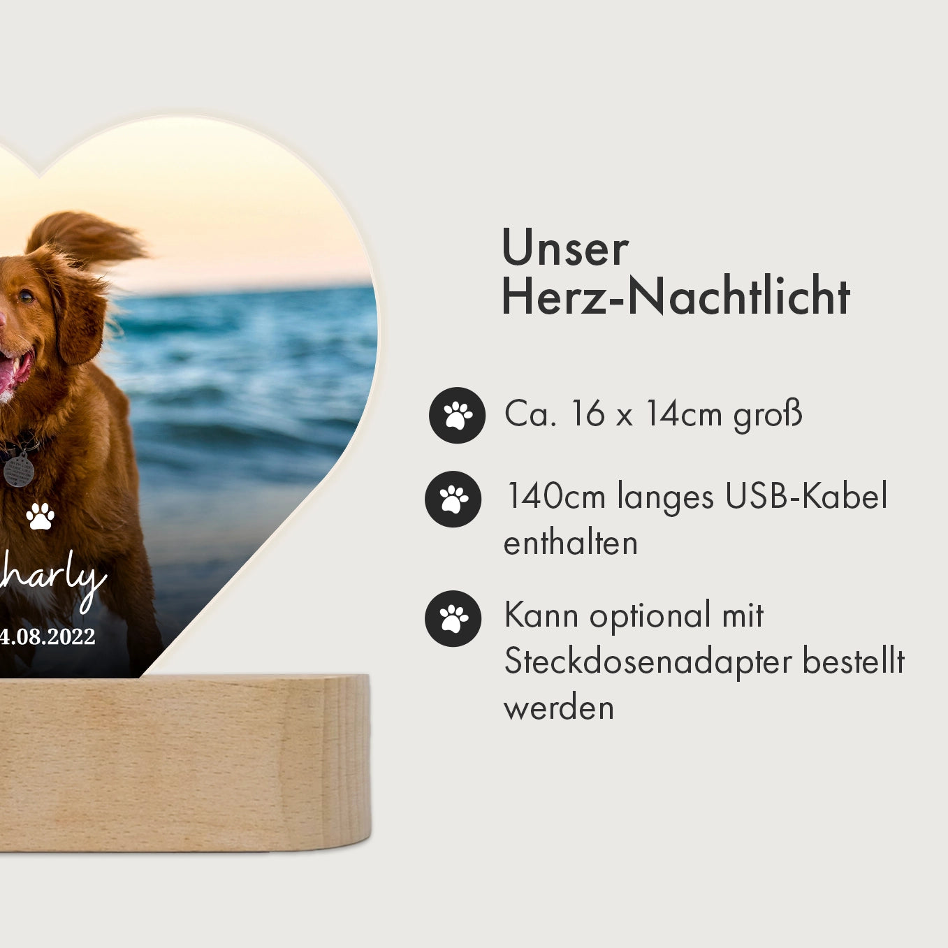 Personalisiertes Herz Acryl-Licht "Dein Haustier" mit Foto