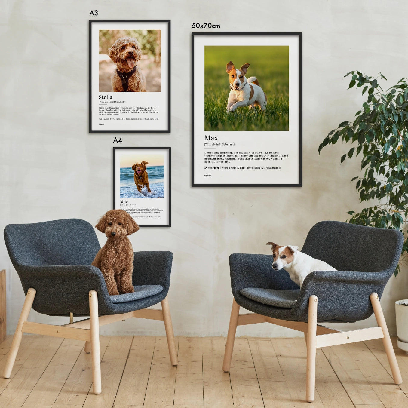Personalisiertes Fotoposter "Haustier Definition"