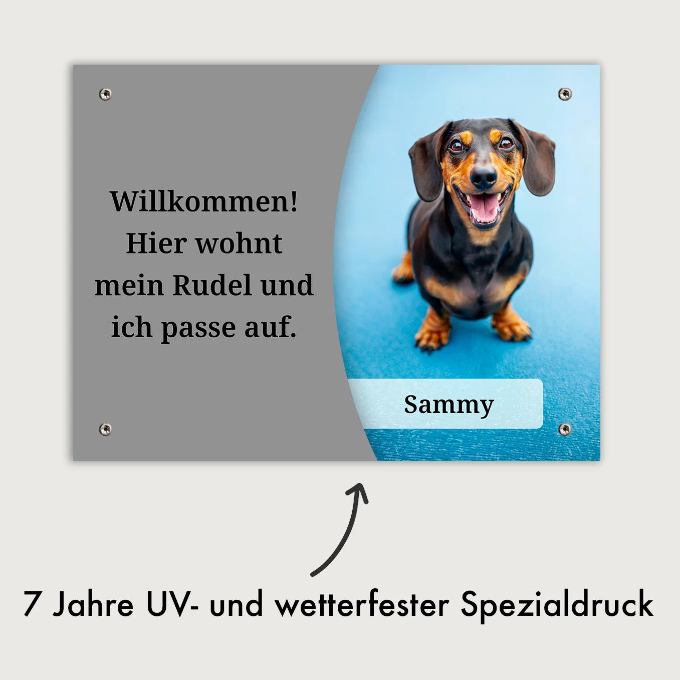 Personalisiertes Türschild "Haustier Foto" Hey Balu