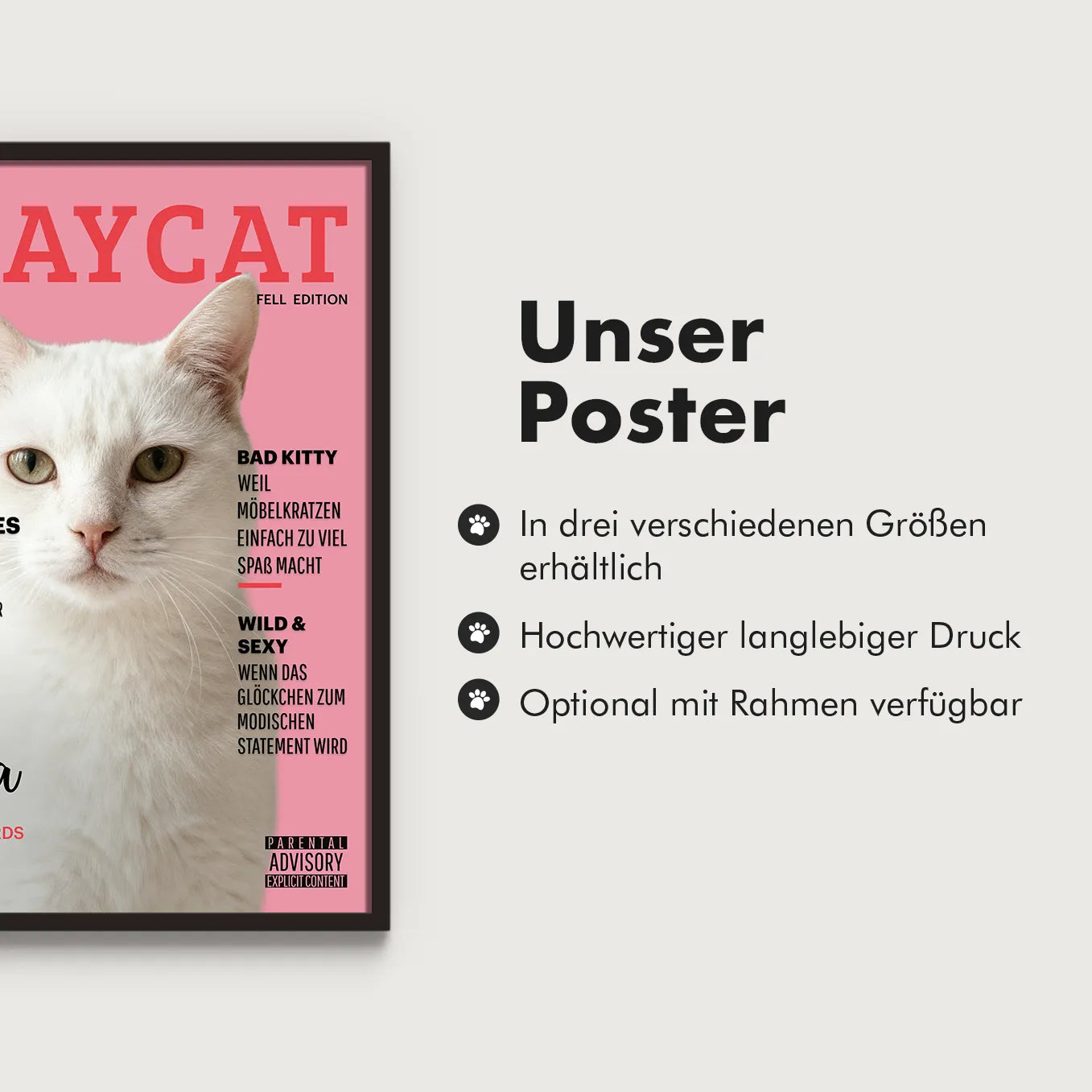 Personalisiertes Poster Katzenmagazin "Playcat"
