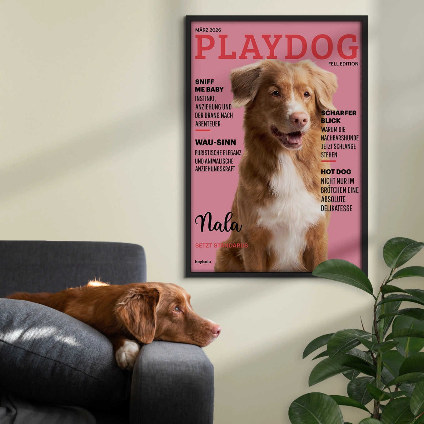 Personalisiertes Poster Hundemagazin "Playdog"