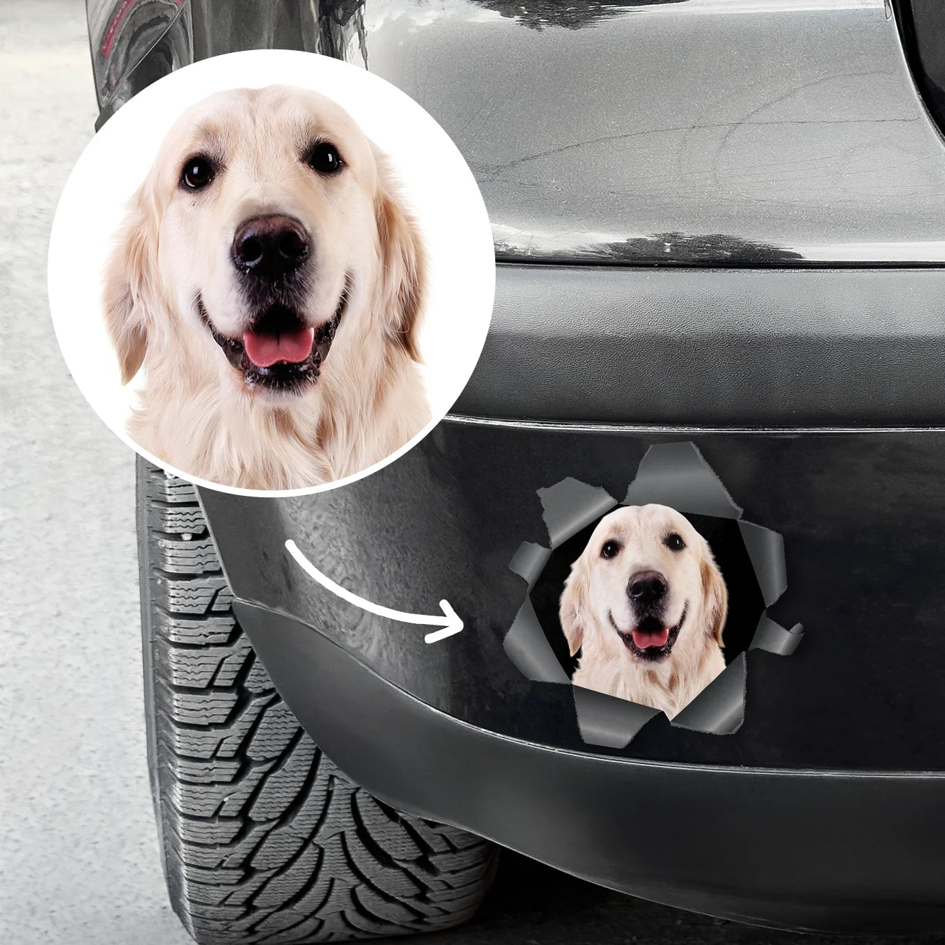 Individueller Autoaufkleber – Spähendes Foto