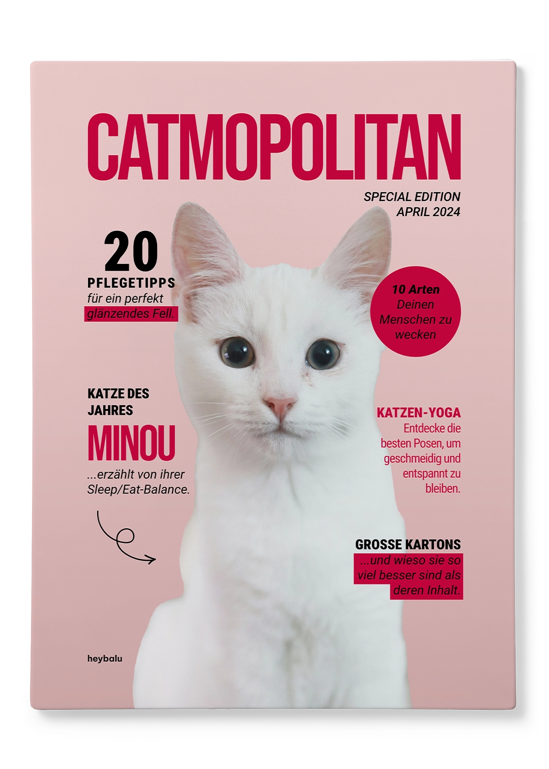 Personalisierte Leinwand Katzenmagazin "Catmopolitan"