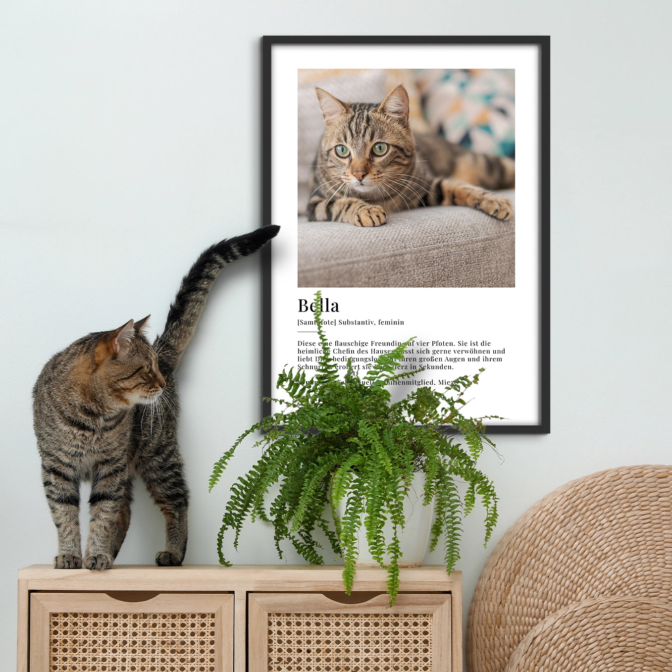 Personalisiertes Fotoposter "Katze Definition" Hey Balu