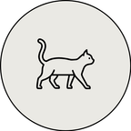 Katzen