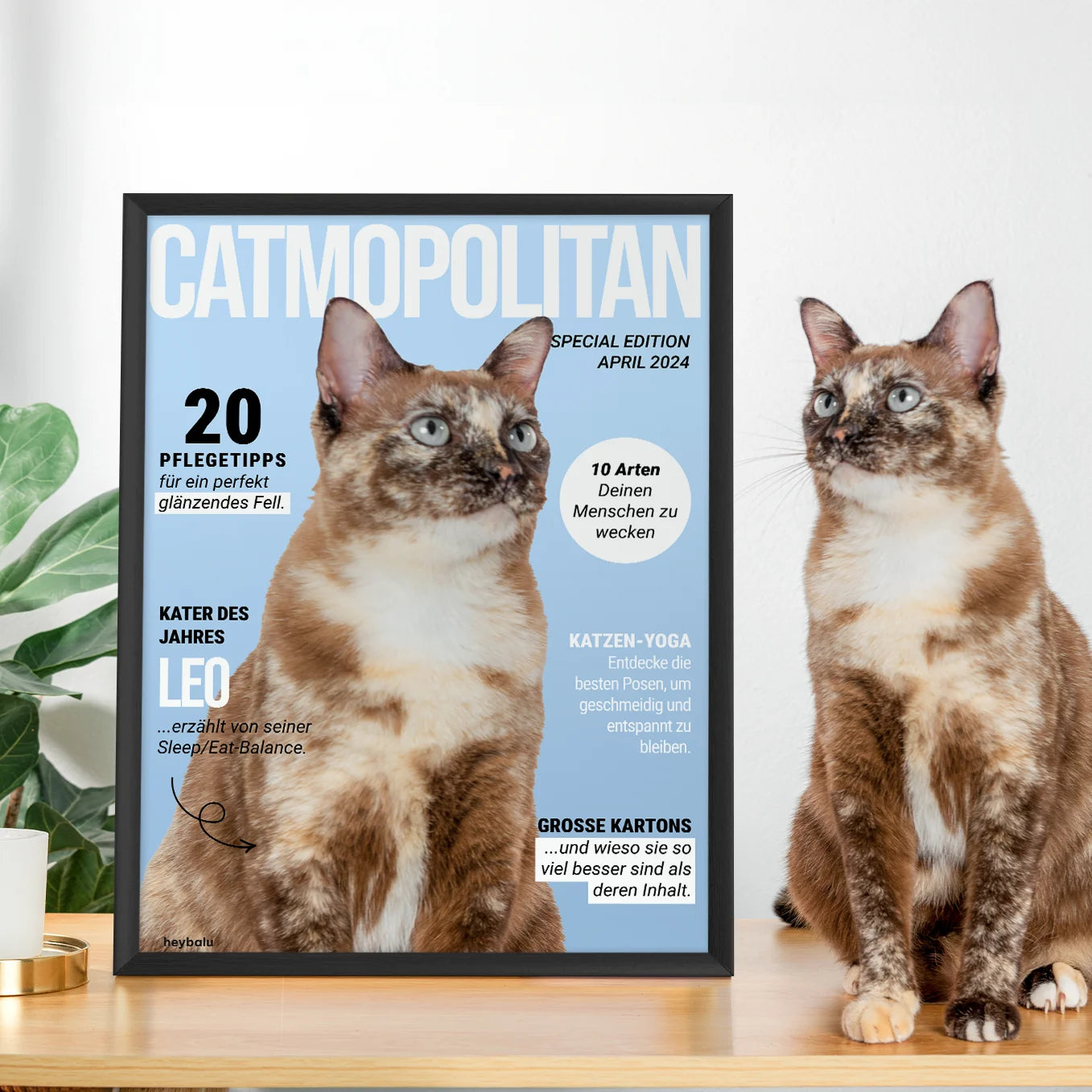 Personalisiertes Poster Katzenmagazin "Catmopolitan" - heybalu