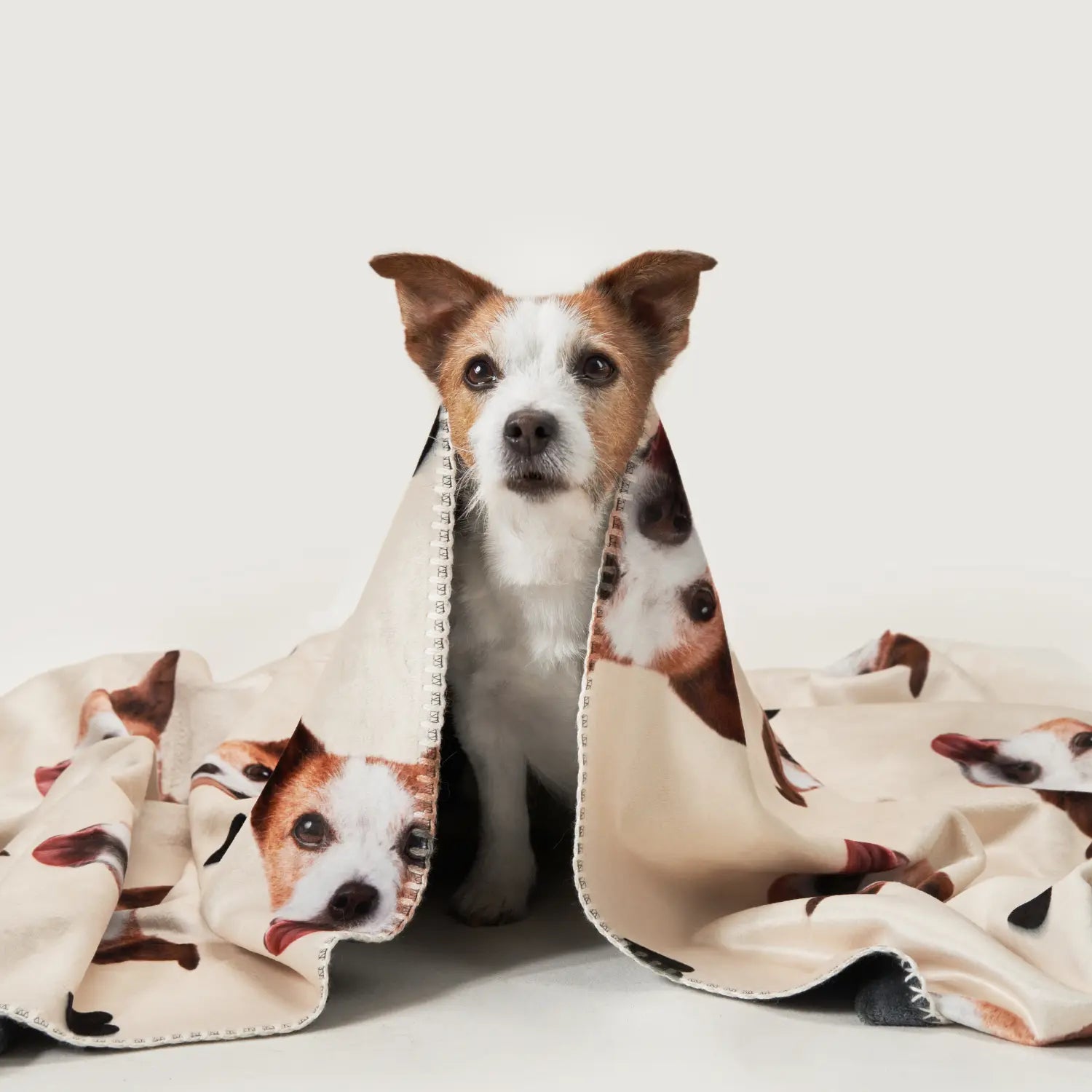 2 Stück Hundehalstuch „Throw The F*ck Ball“ – Dunkelblau & Weiß, 70x34 Cm, Aus Polyester – Lustiges Bandana Für Hundebesitzer