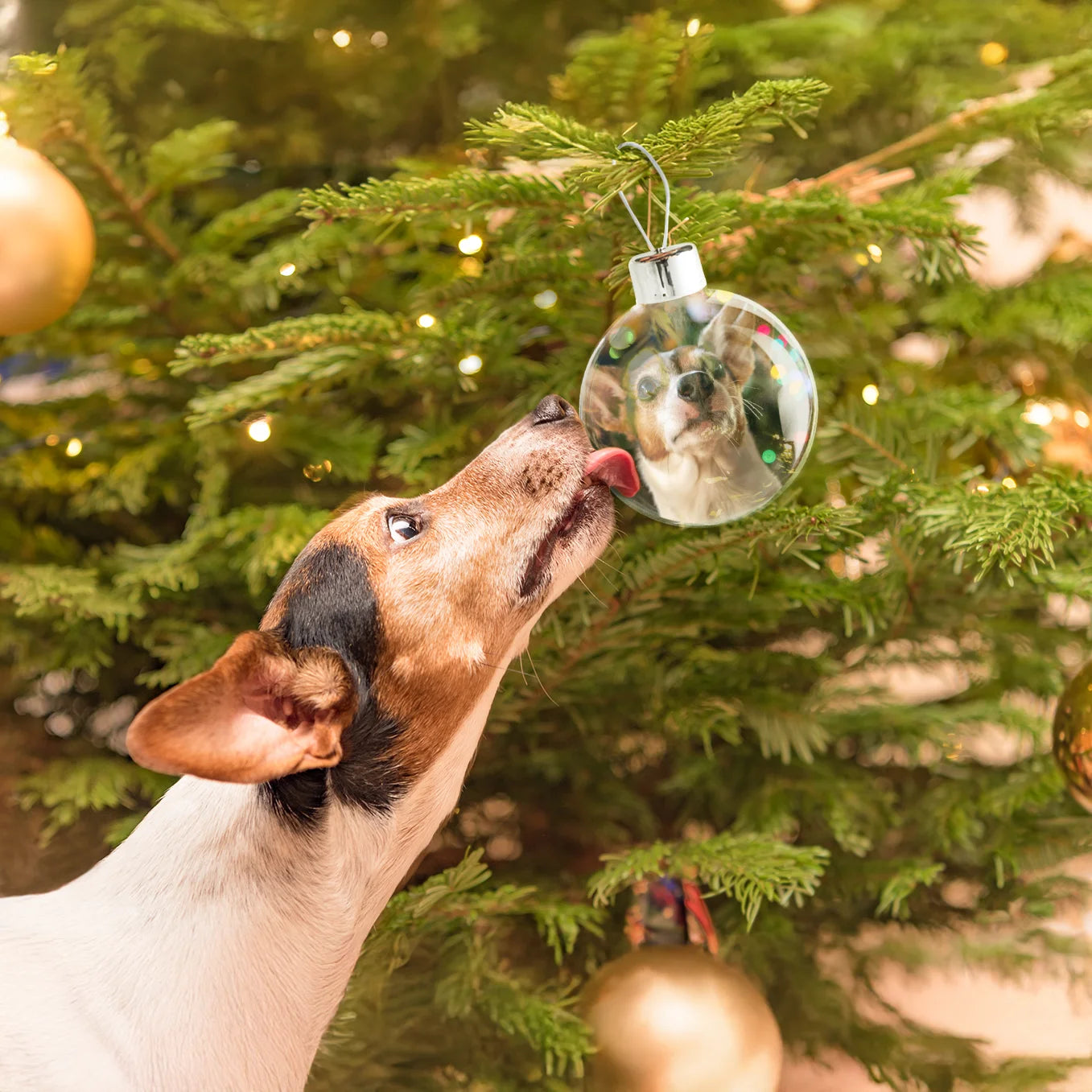 Personalisierte Christbaumkugel "Haustier Foto"