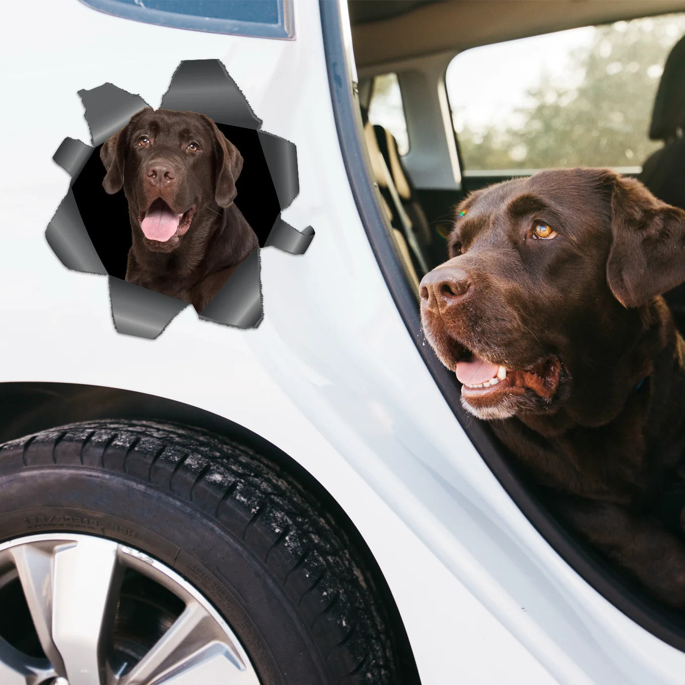 Individueller Autoaufkleber – Spähendes Foto