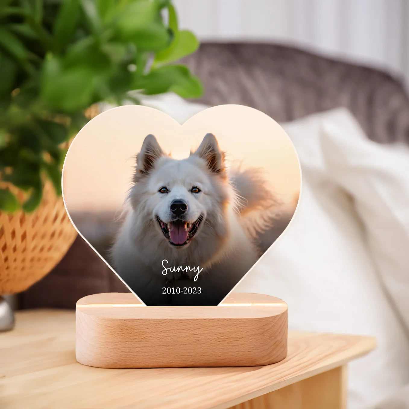 Personalisiertes Herz Acryl-Licht "Dein Haustier" mit Foto