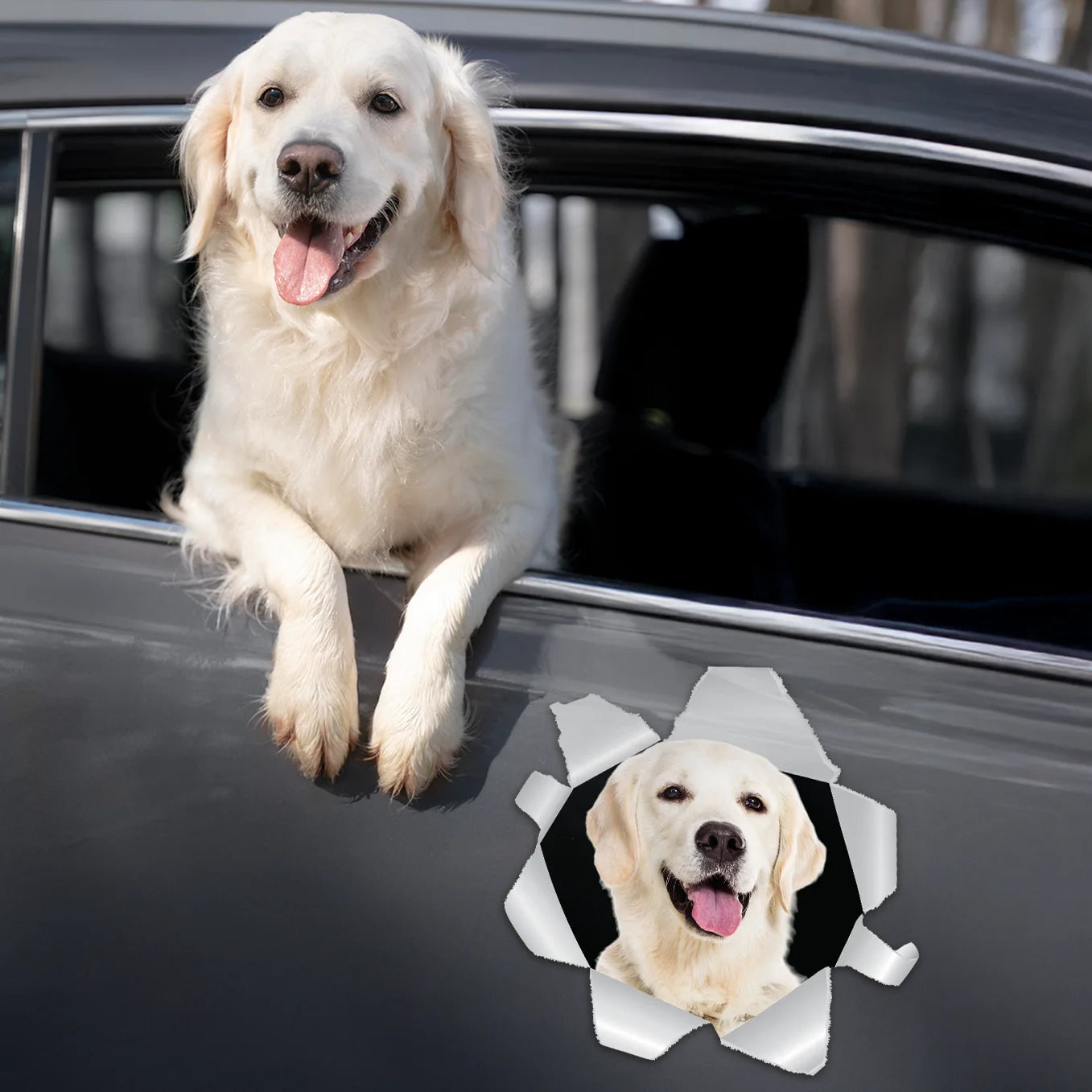 Individueller Autoaufkleber – Spähendes Foto