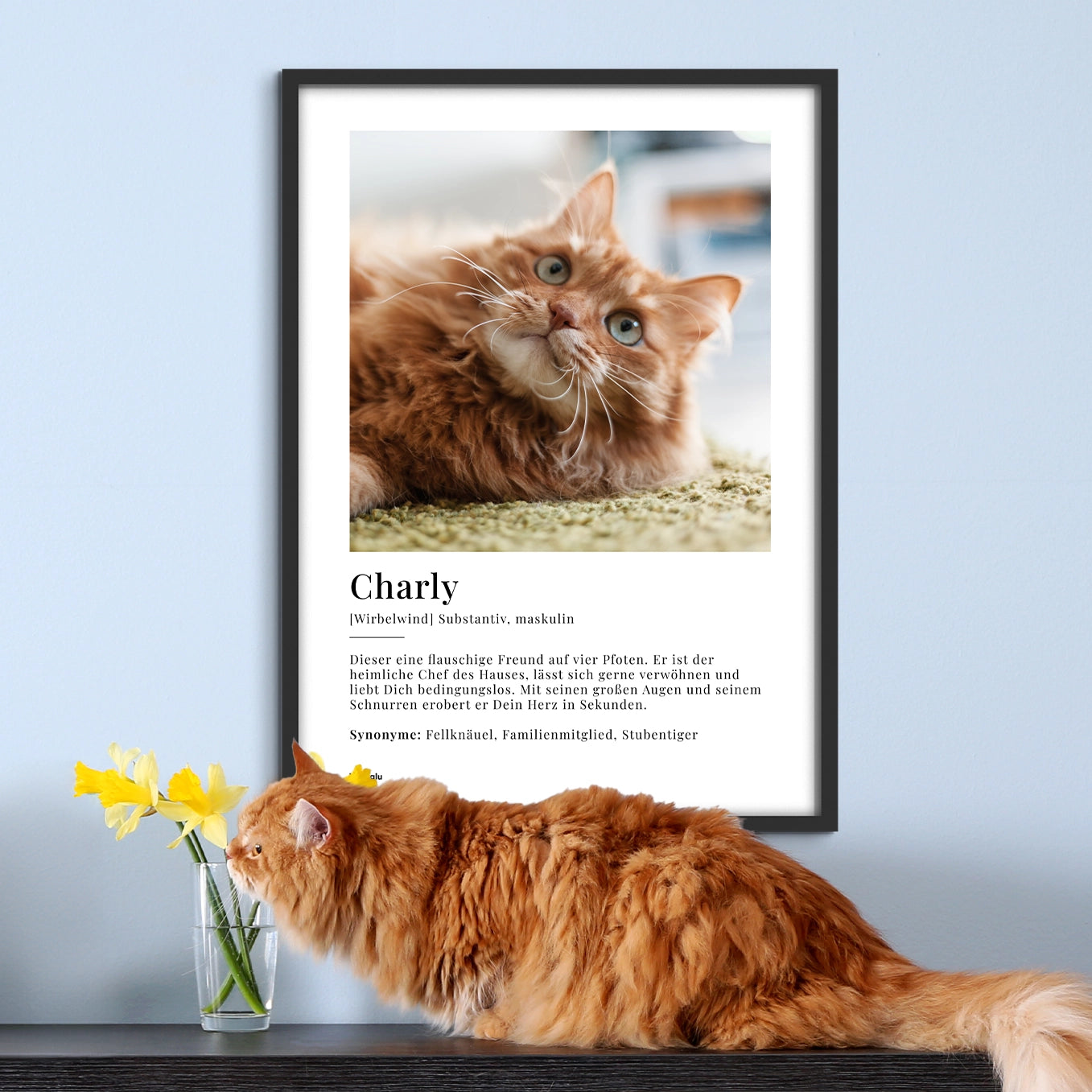 Personalisiertes Fotoposter "Katze Definition" Hey Balu