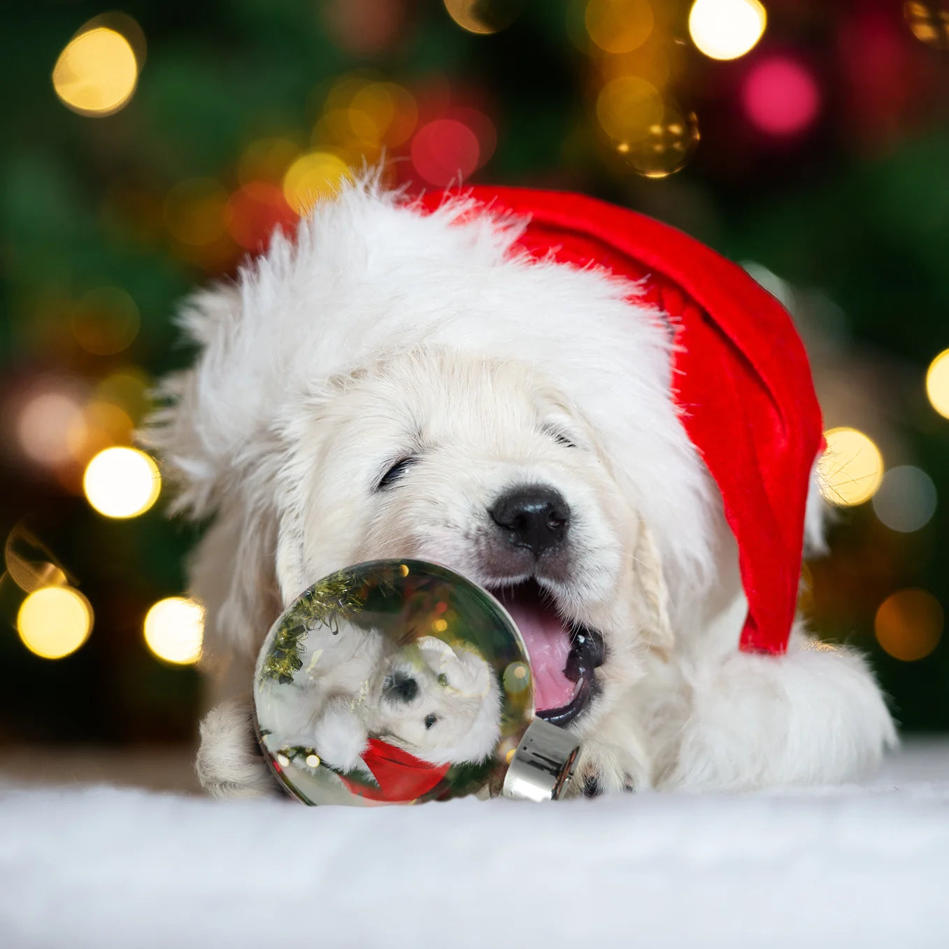 Personalisierte Christbaumkugel "Haustier Foto"