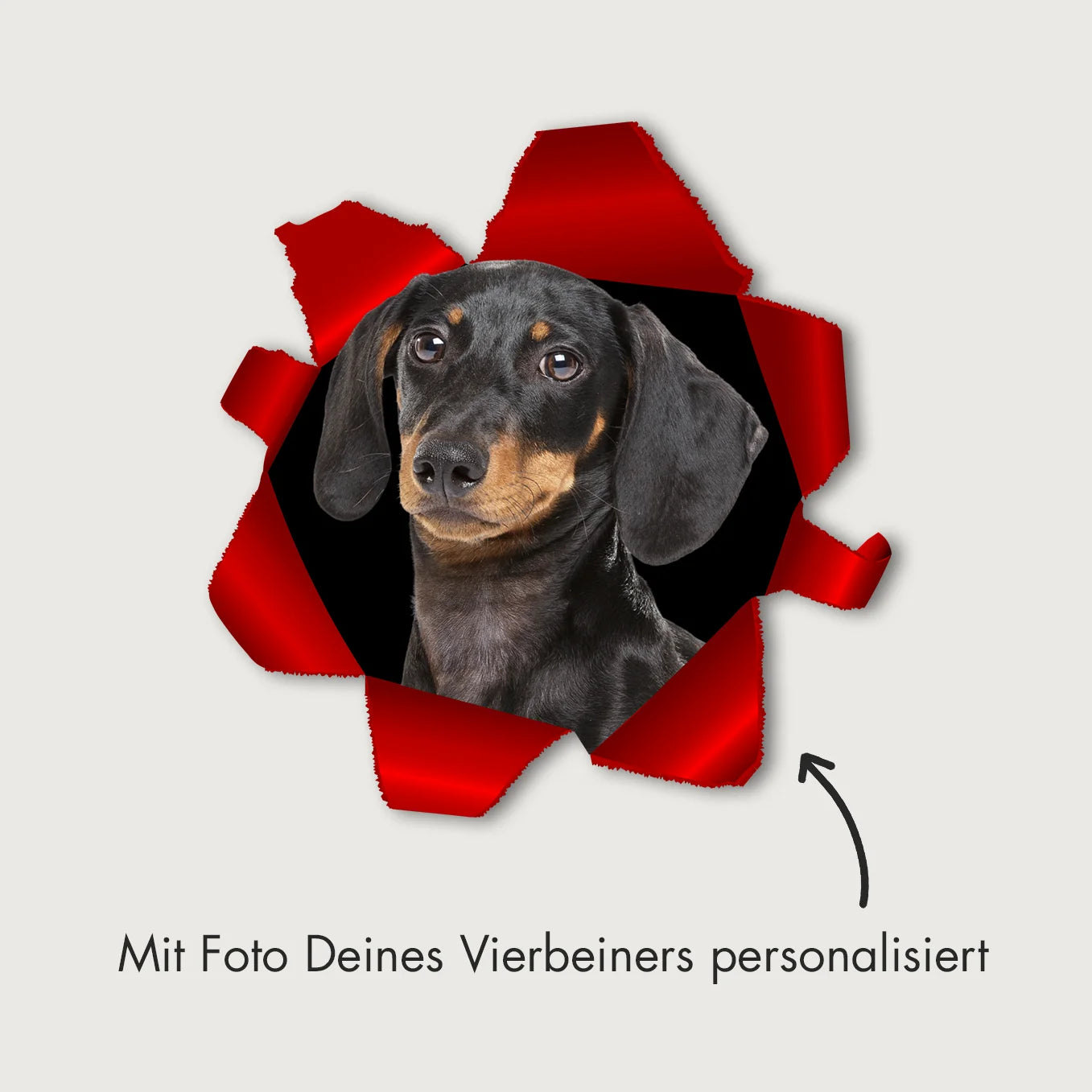 Individueller Autoaufkleber – Spähendes Foto