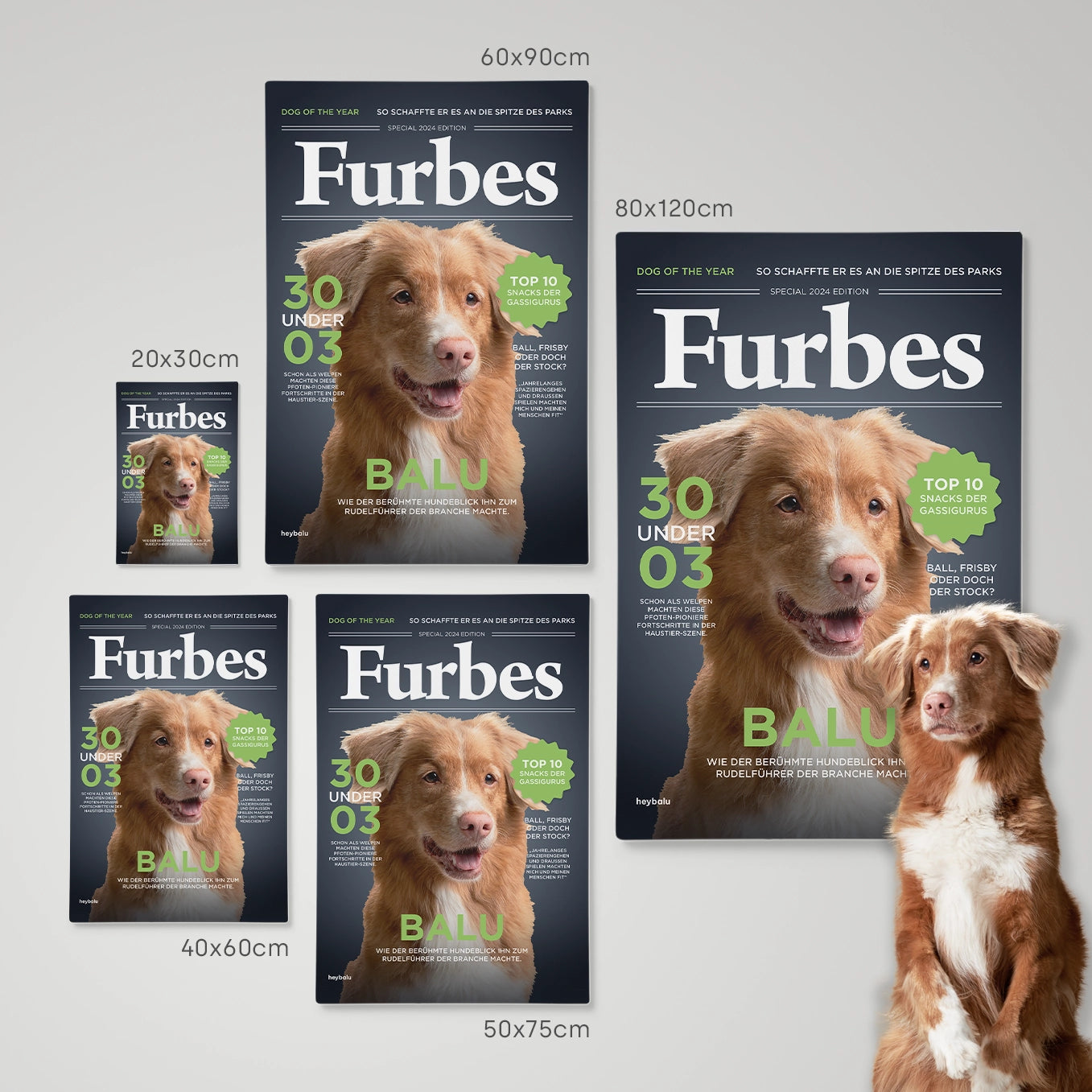 Personalisierte Leinwand Hundemagazin "Furbes"