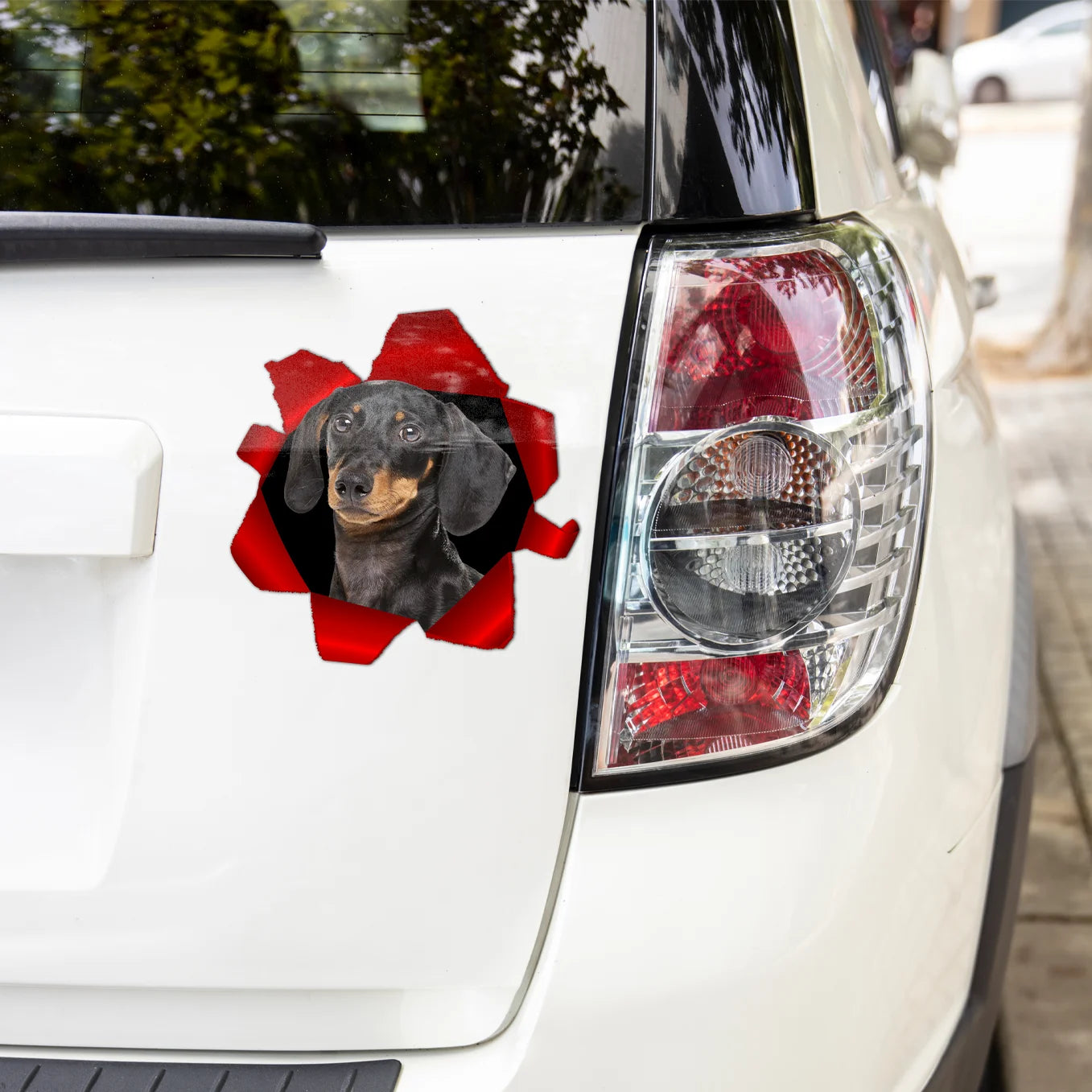 Individueller Autoaufkleber – Spähendes Foto