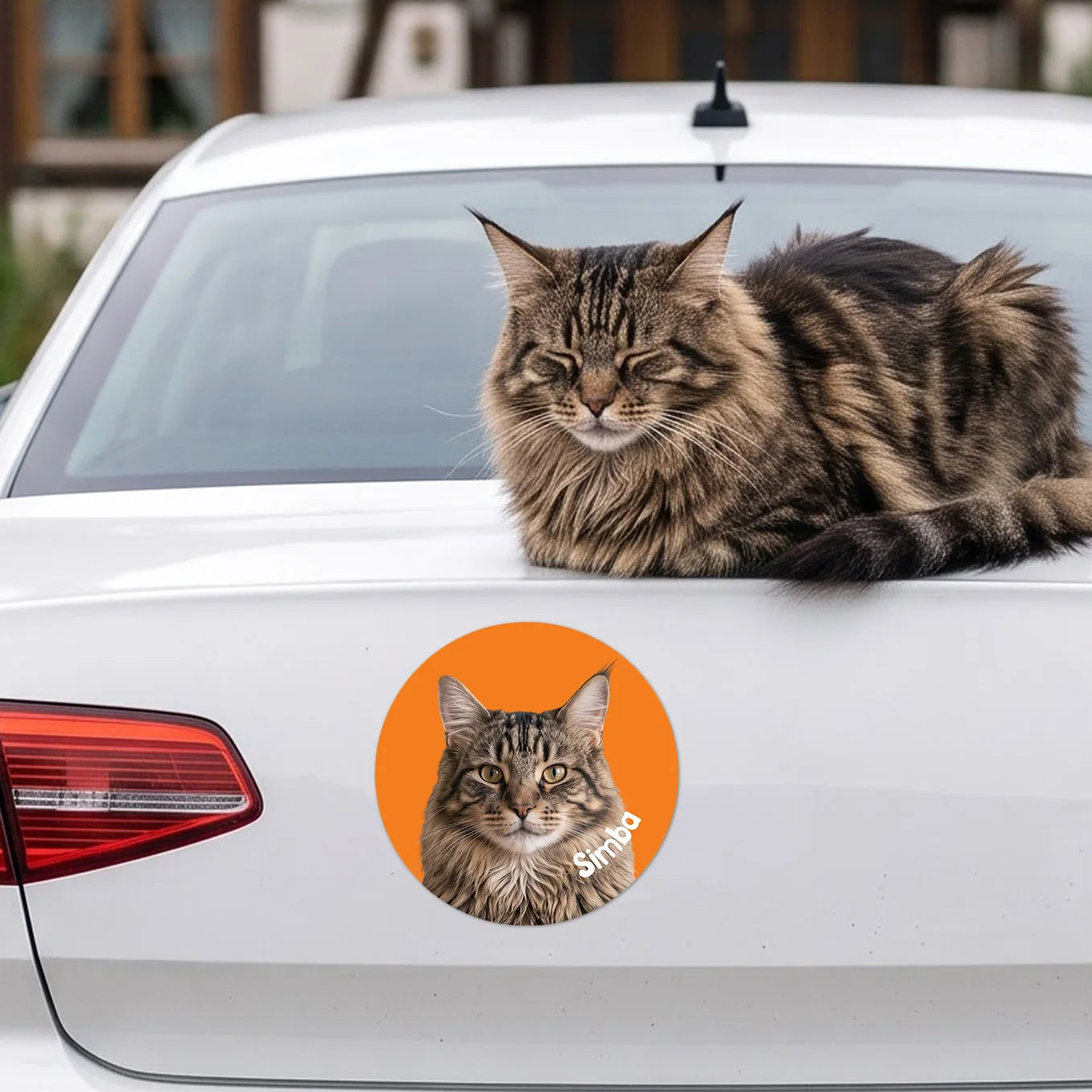 Personalisierter Autoaufkleber "Katzenfoto"