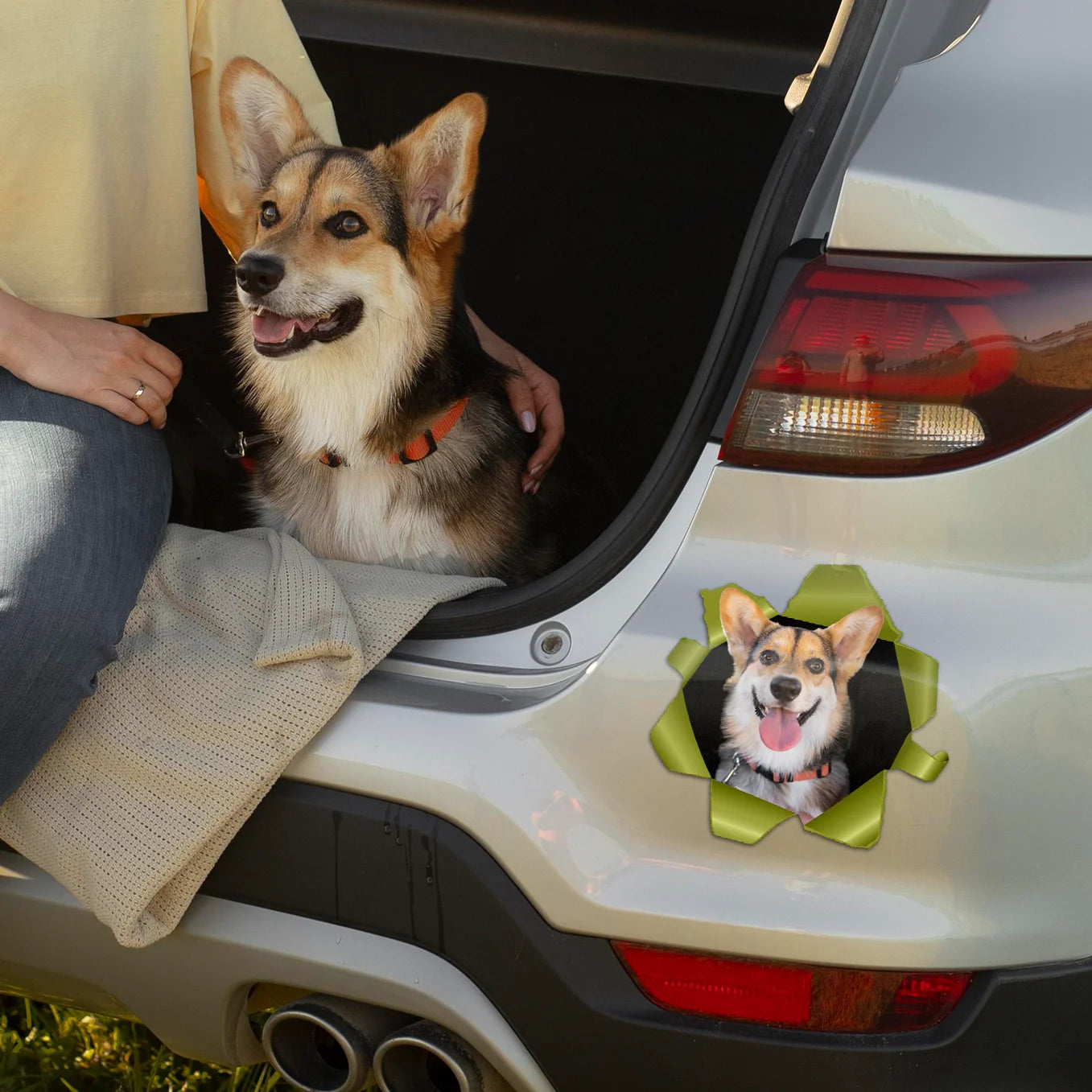 Individueller Autoaufkleber – Spähendes Foto