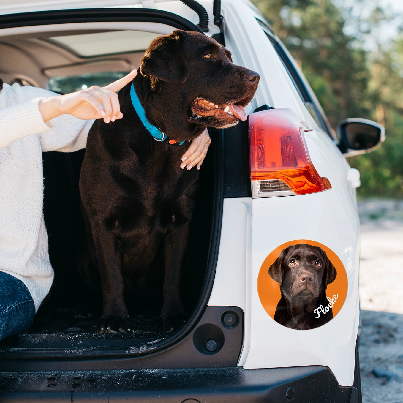 Personalisierter Autoaufkleber "Hundefoto"