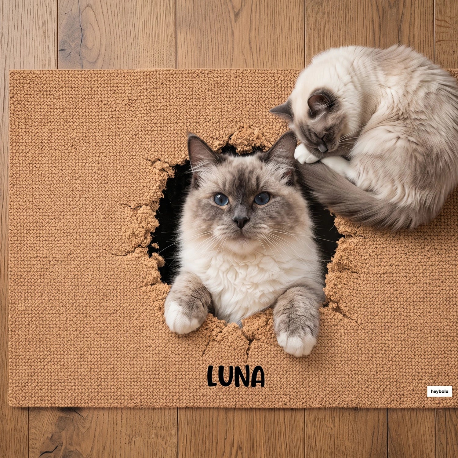 Personalisierte Fußmatte Katze "Durchbruch"