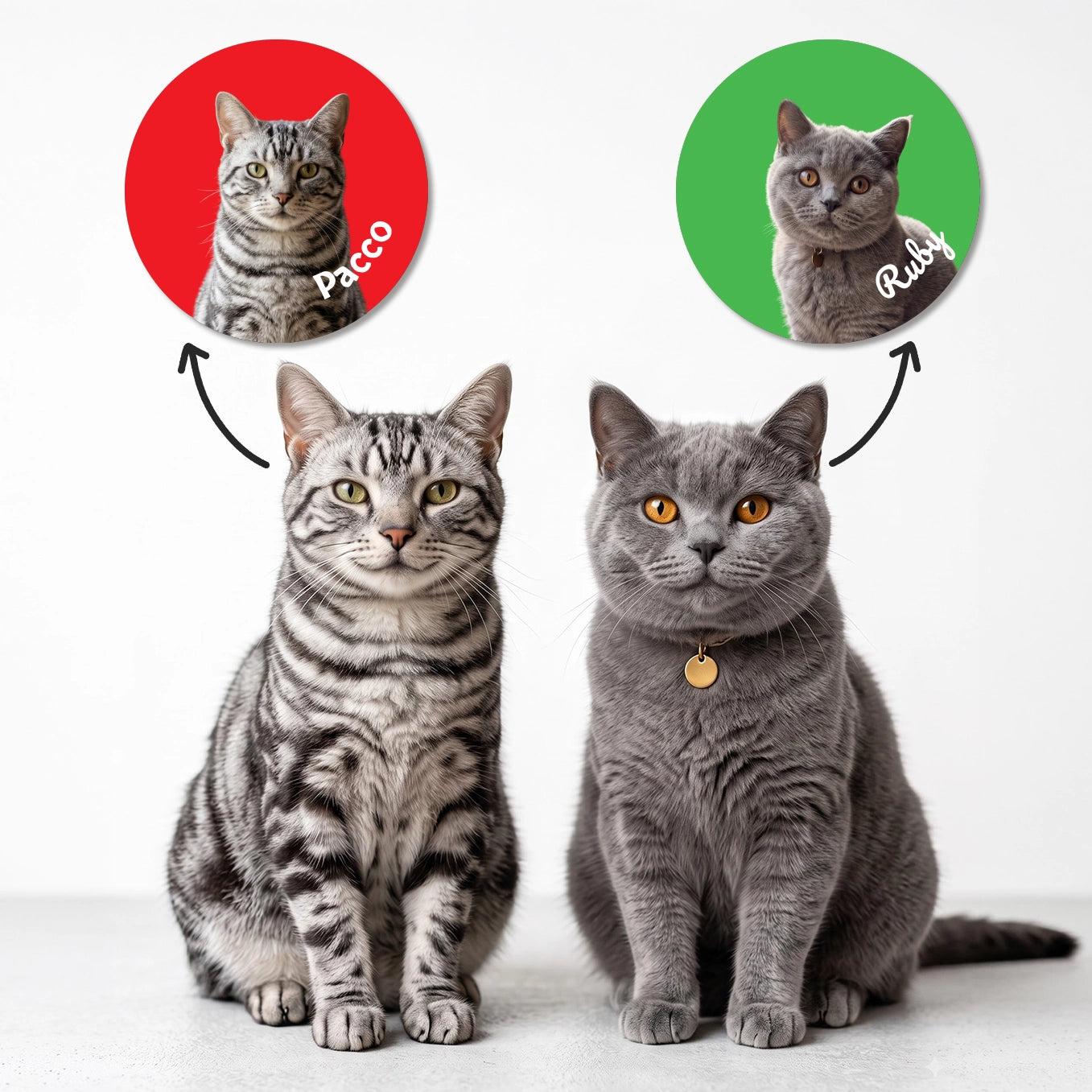 Personalisierter Autoaufkleber "Katzenfoto"